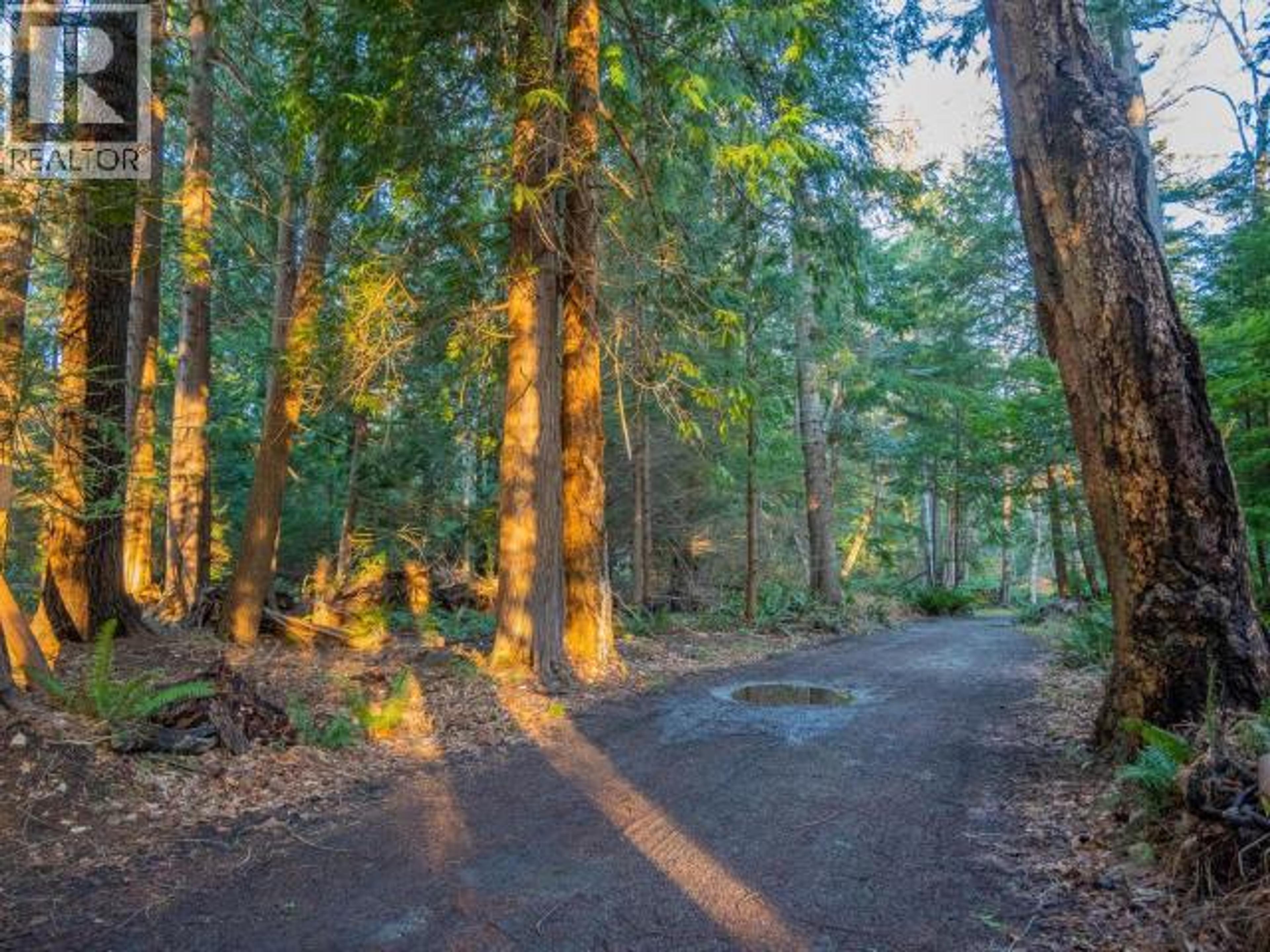 1136 HERCHMER ROAD - 33