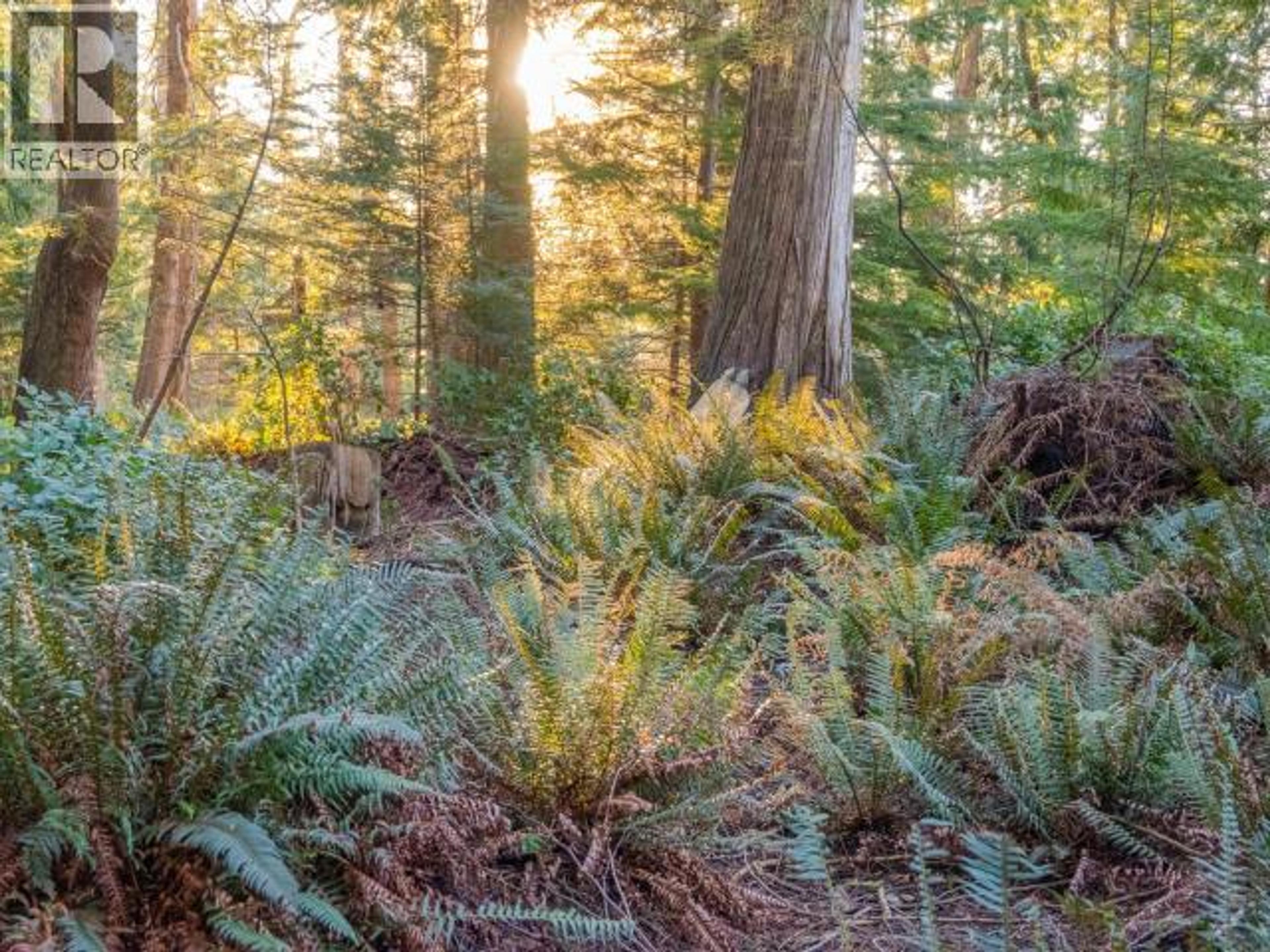 1136 HERCHMER ROAD - 14