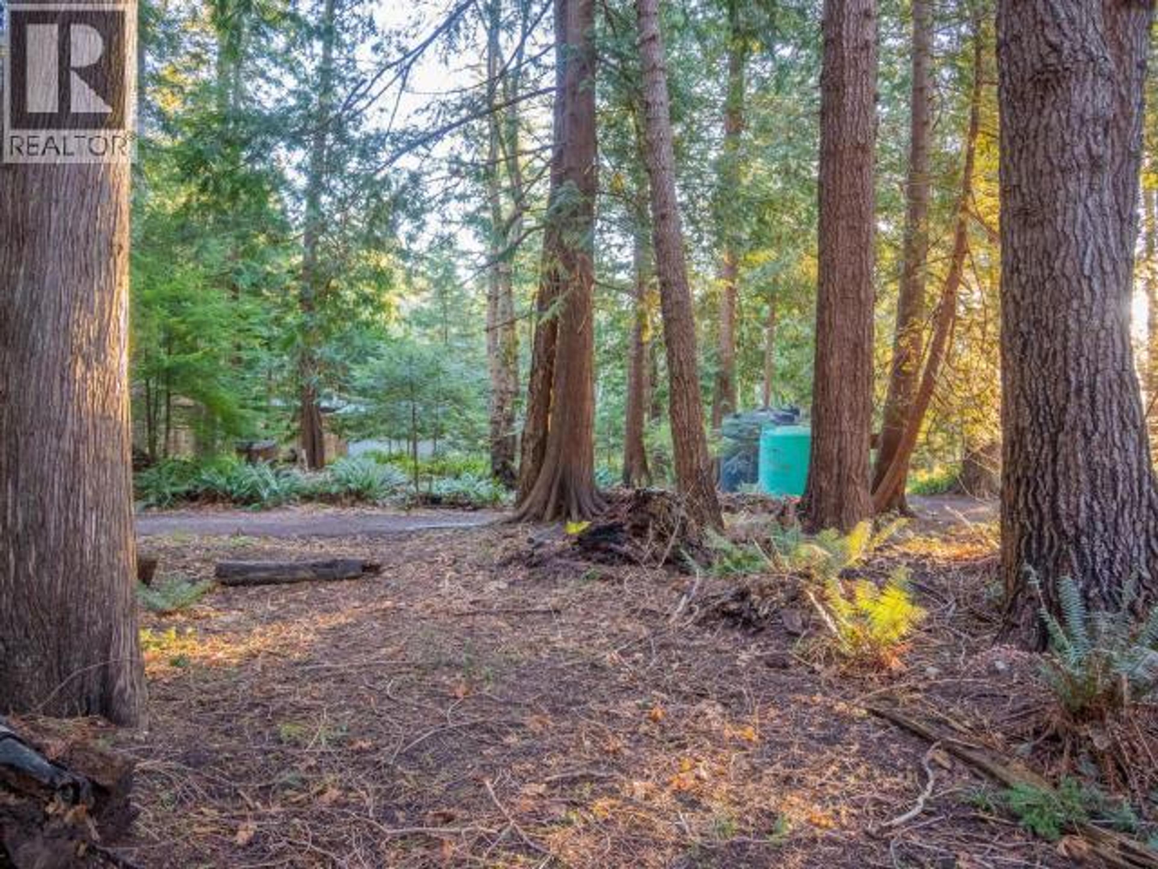 1136 HERCHMER ROAD - 10