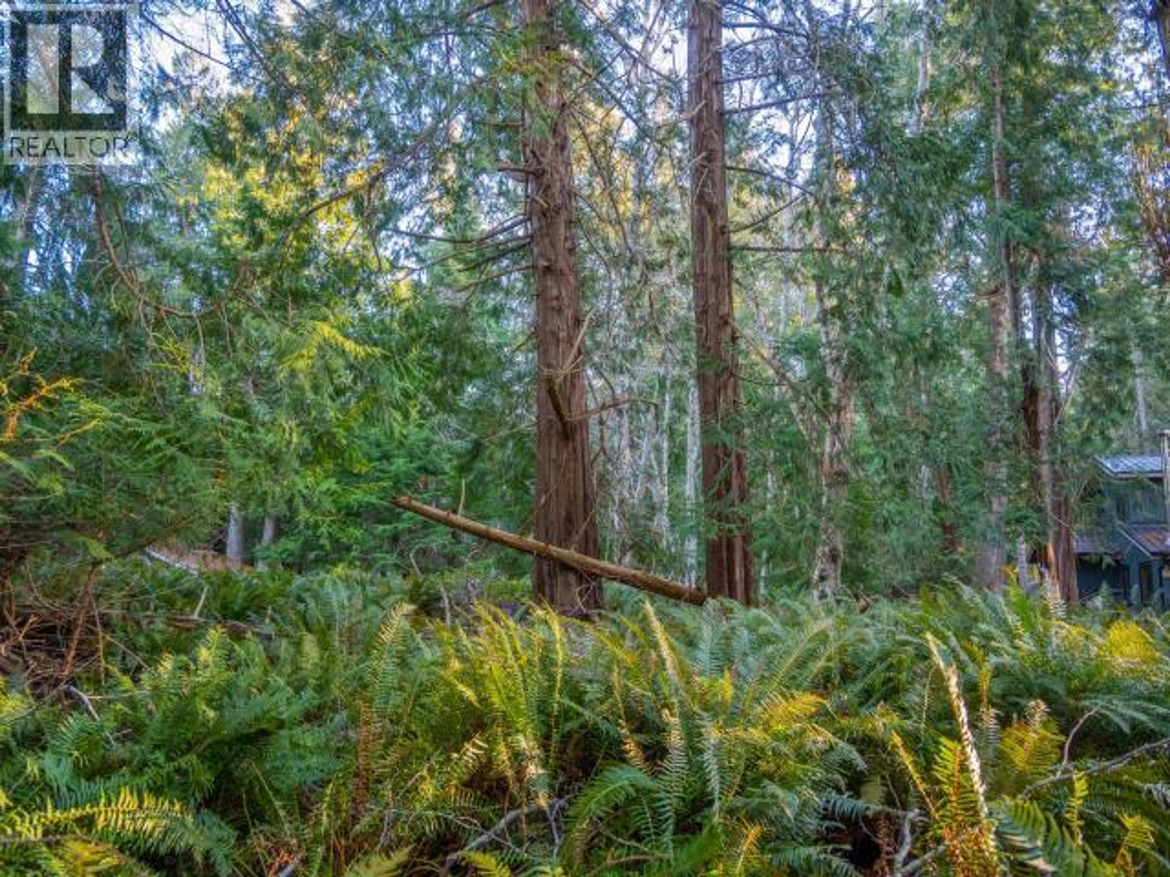 1136 HERCHMER ROAD - 24