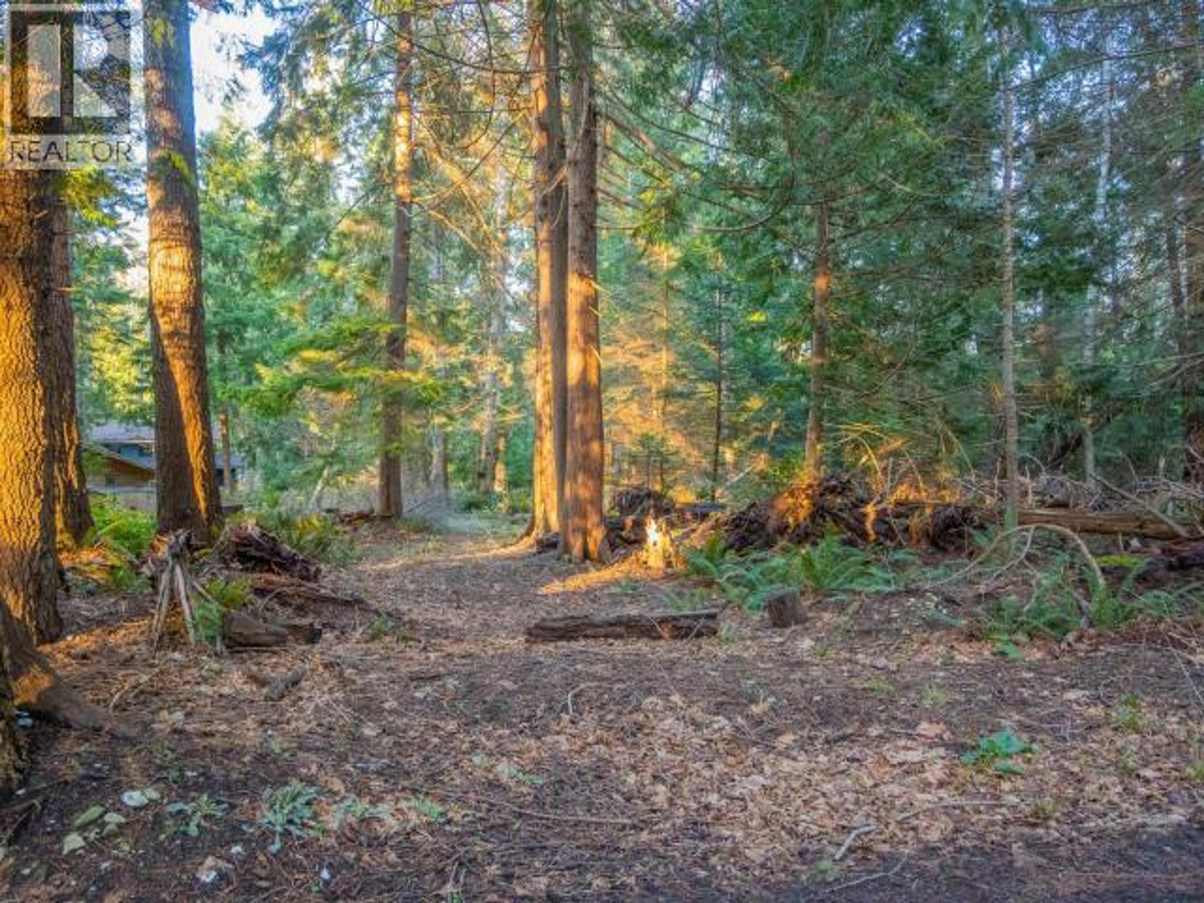 1136 HERCHMER ROAD - 5