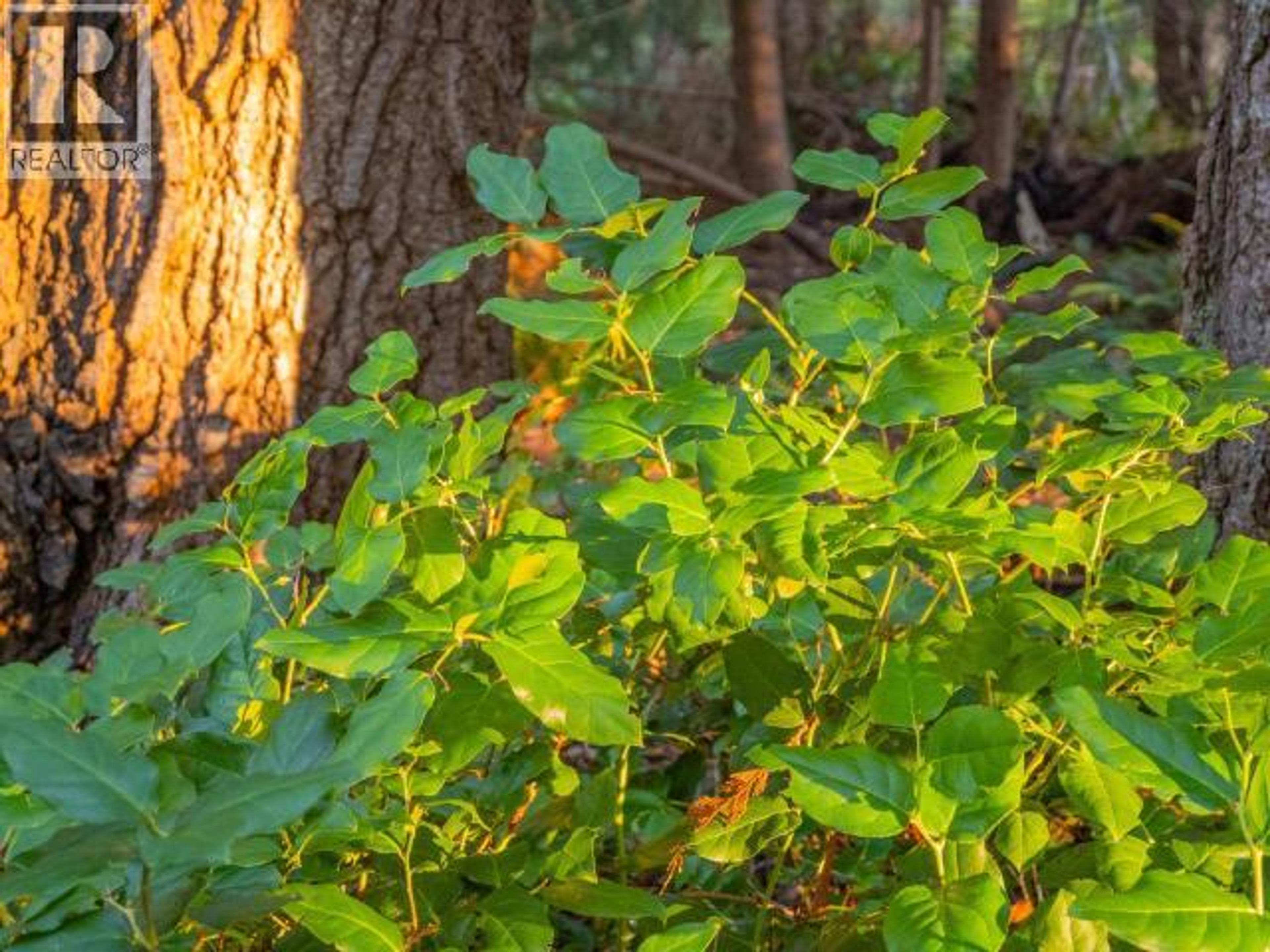 1136 HERCHMER ROAD - 22