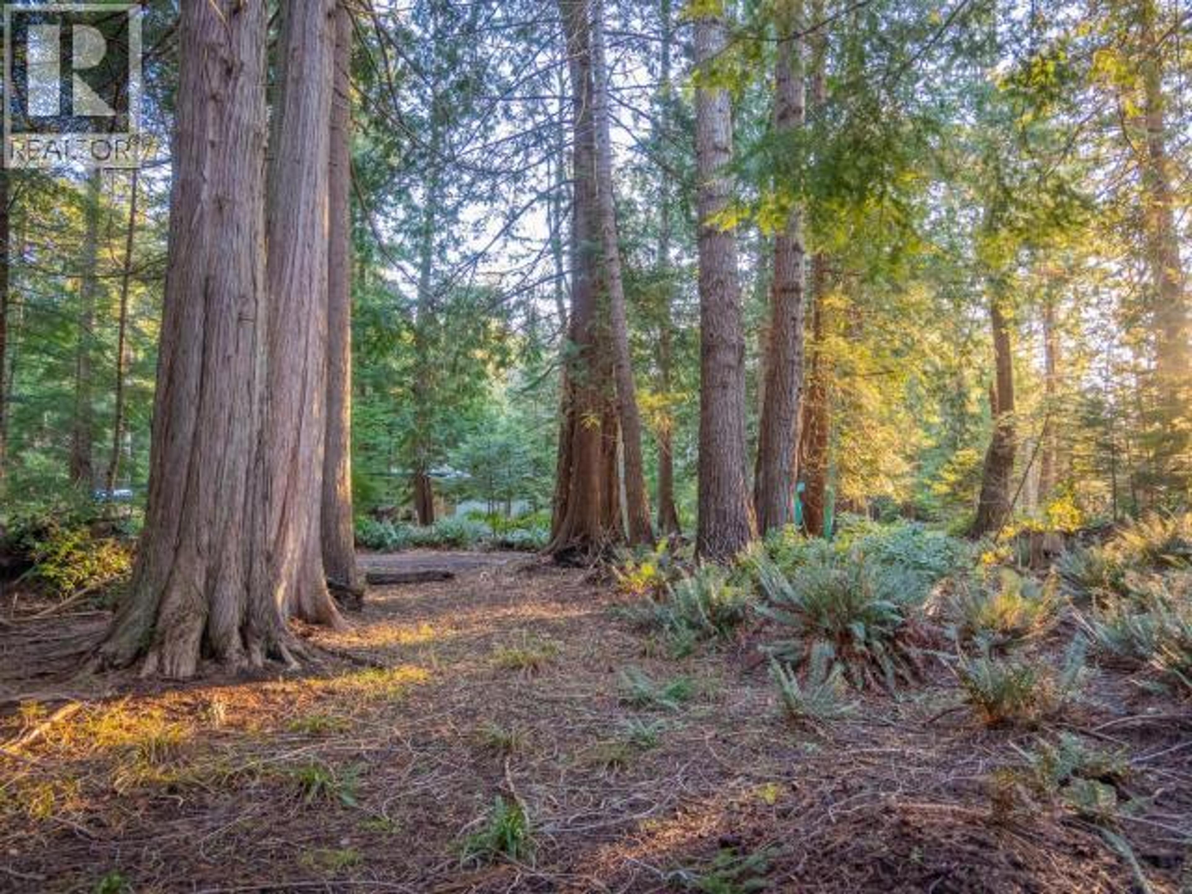 1136 HERCHMER ROAD - 48