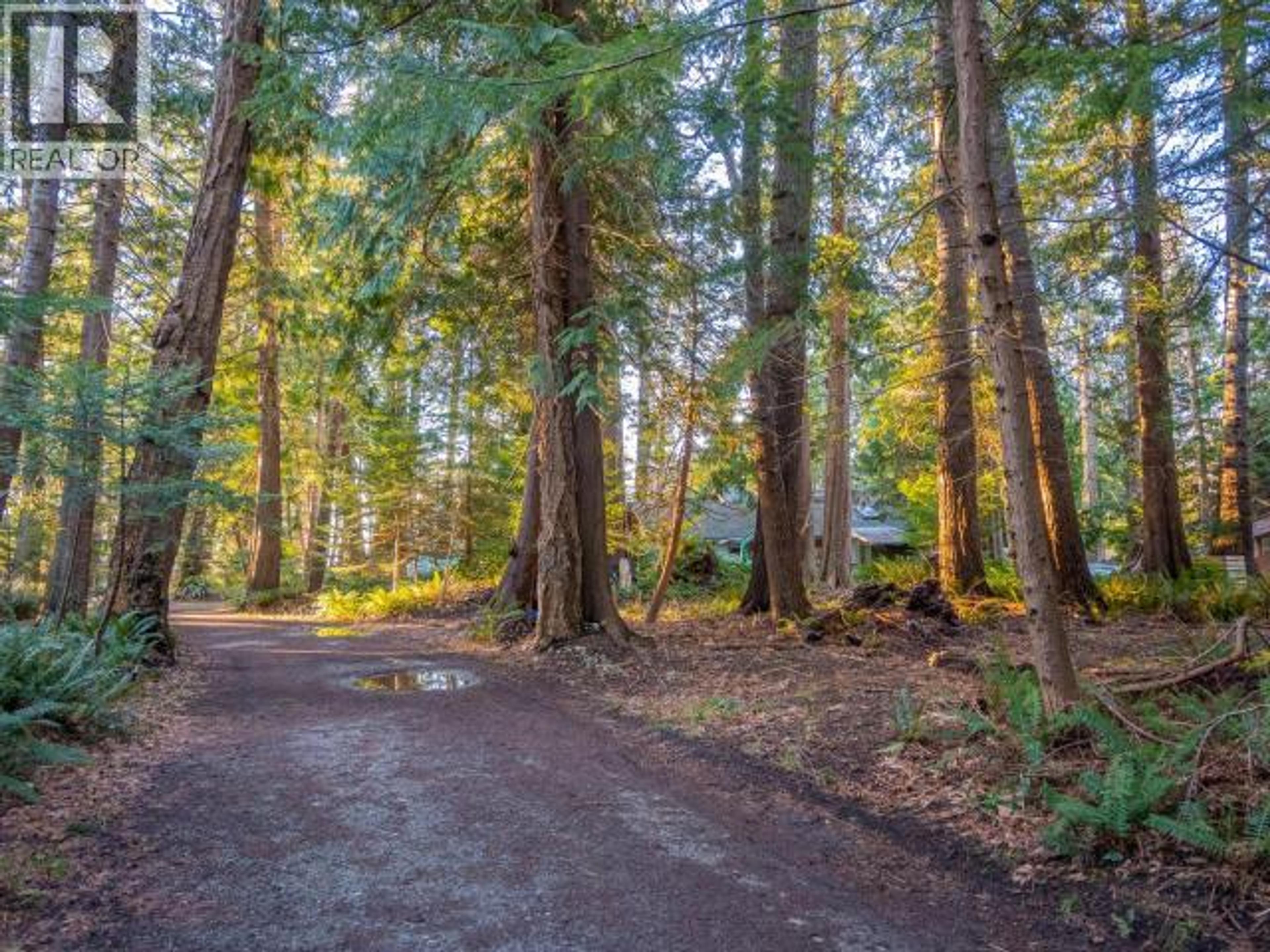 1136 HERCHMER ROAD - 11