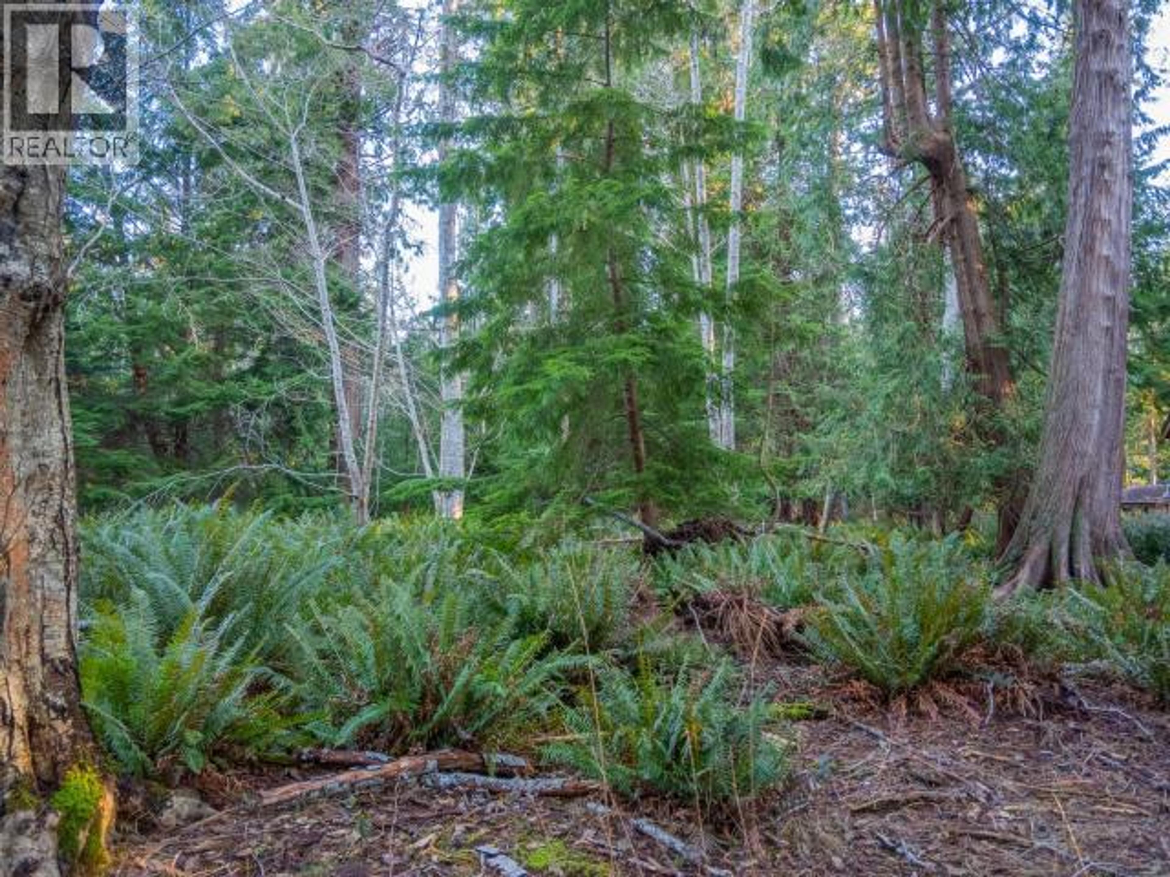 1136 HERCHMER ROAD - 9