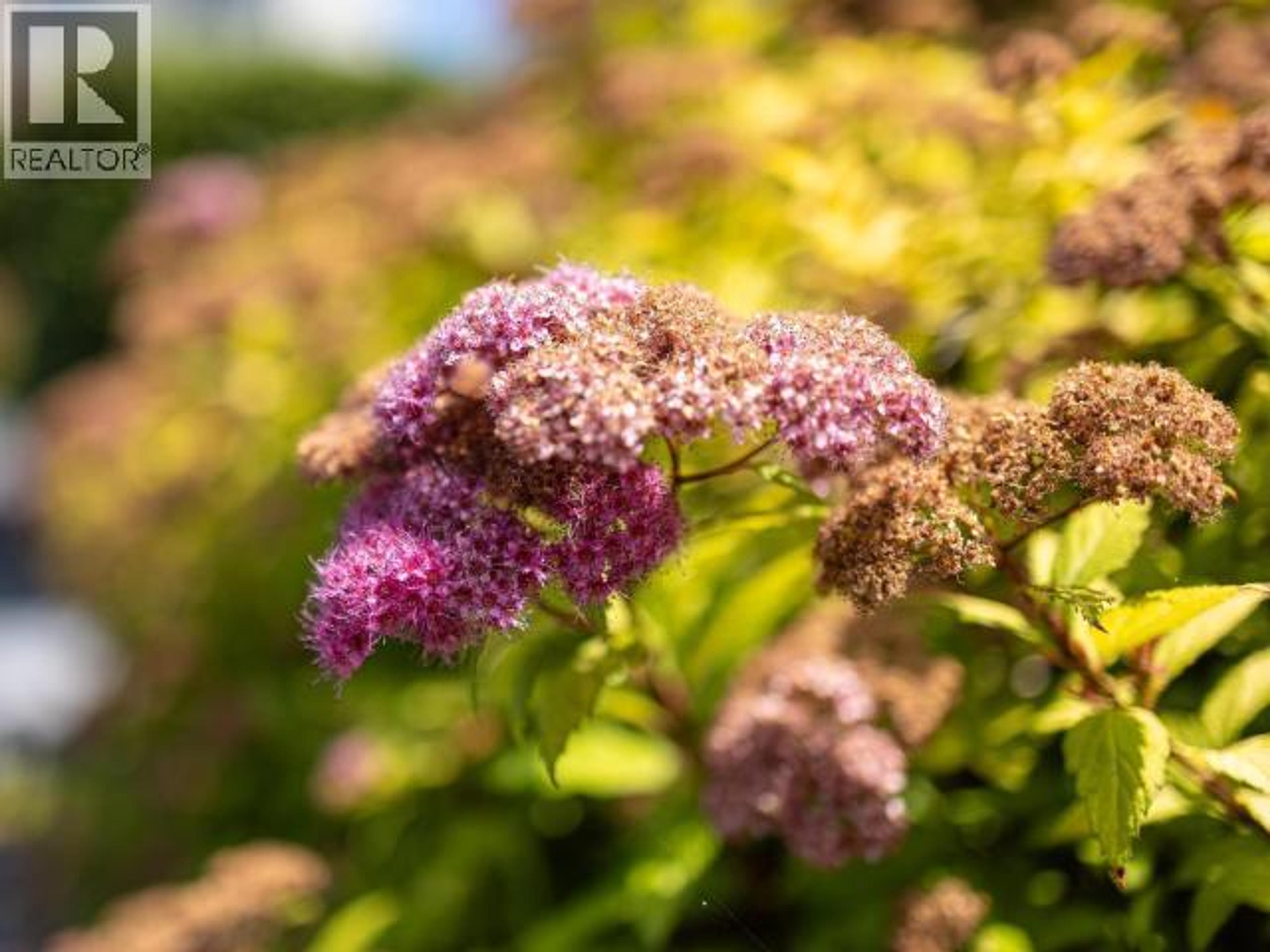 #1 4651 HARVIE AVE - Image 2