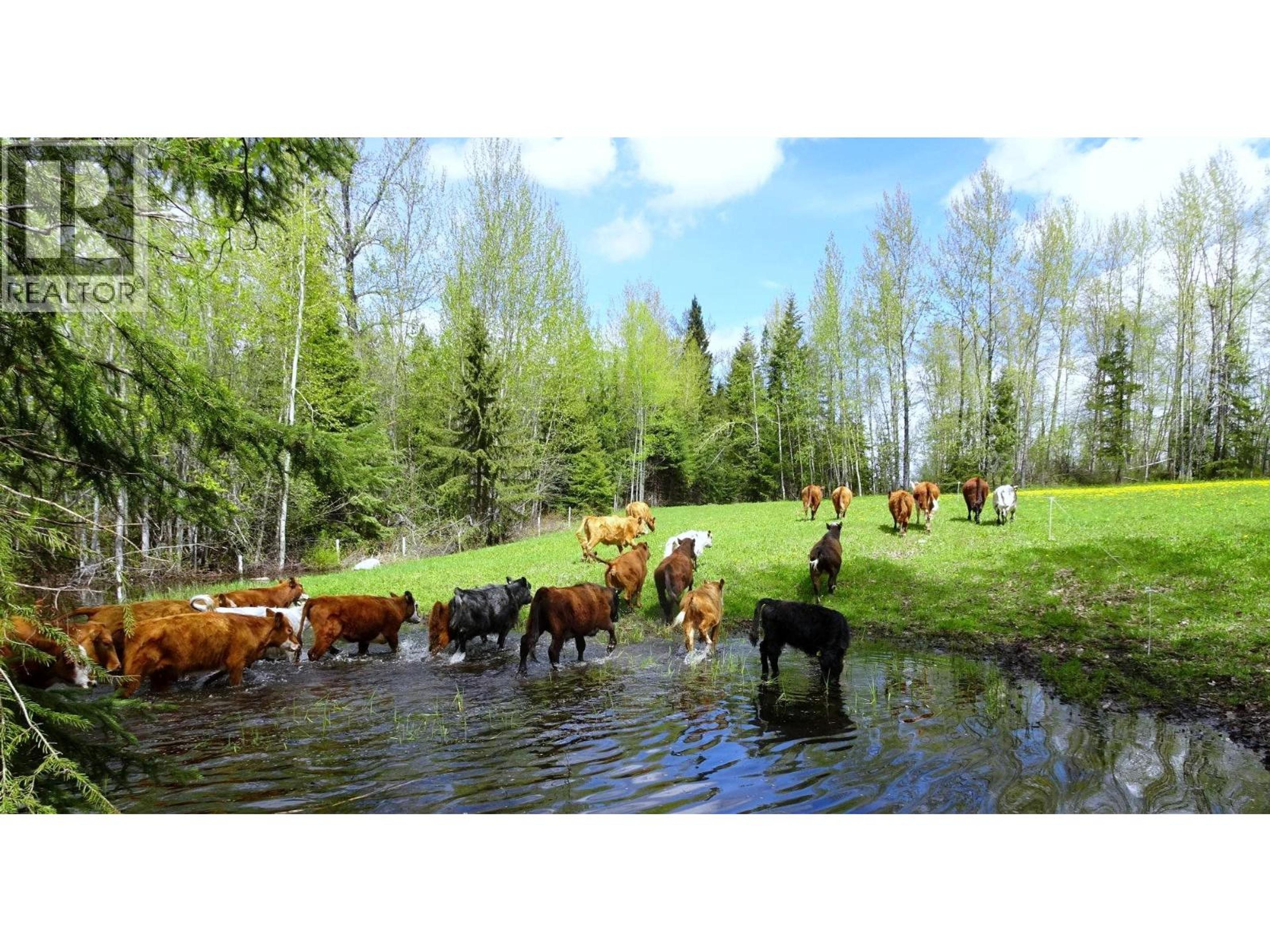 DL5277 DAY ROAD - 38