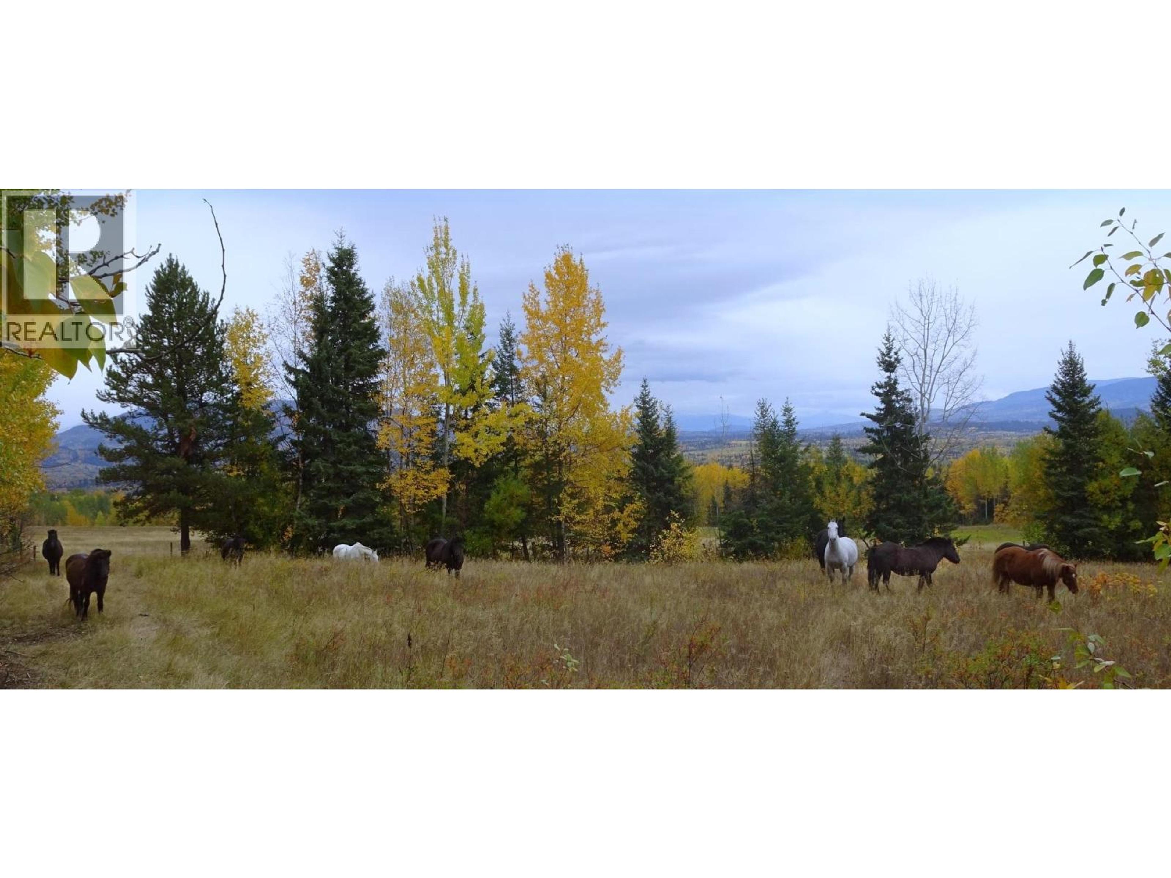 DL5277 DAY ROAD - 36