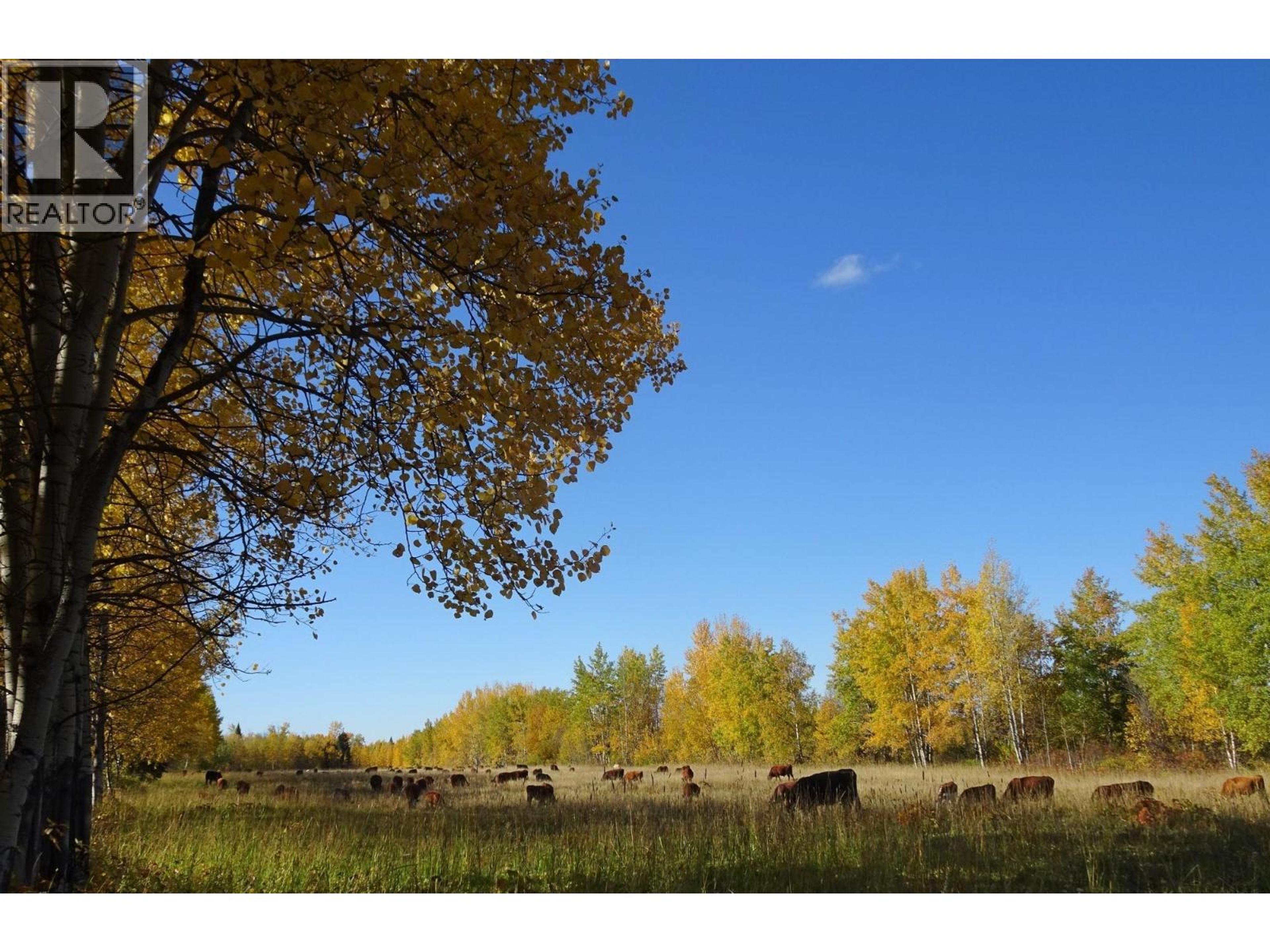 DL5277 DAY ROAD - 37