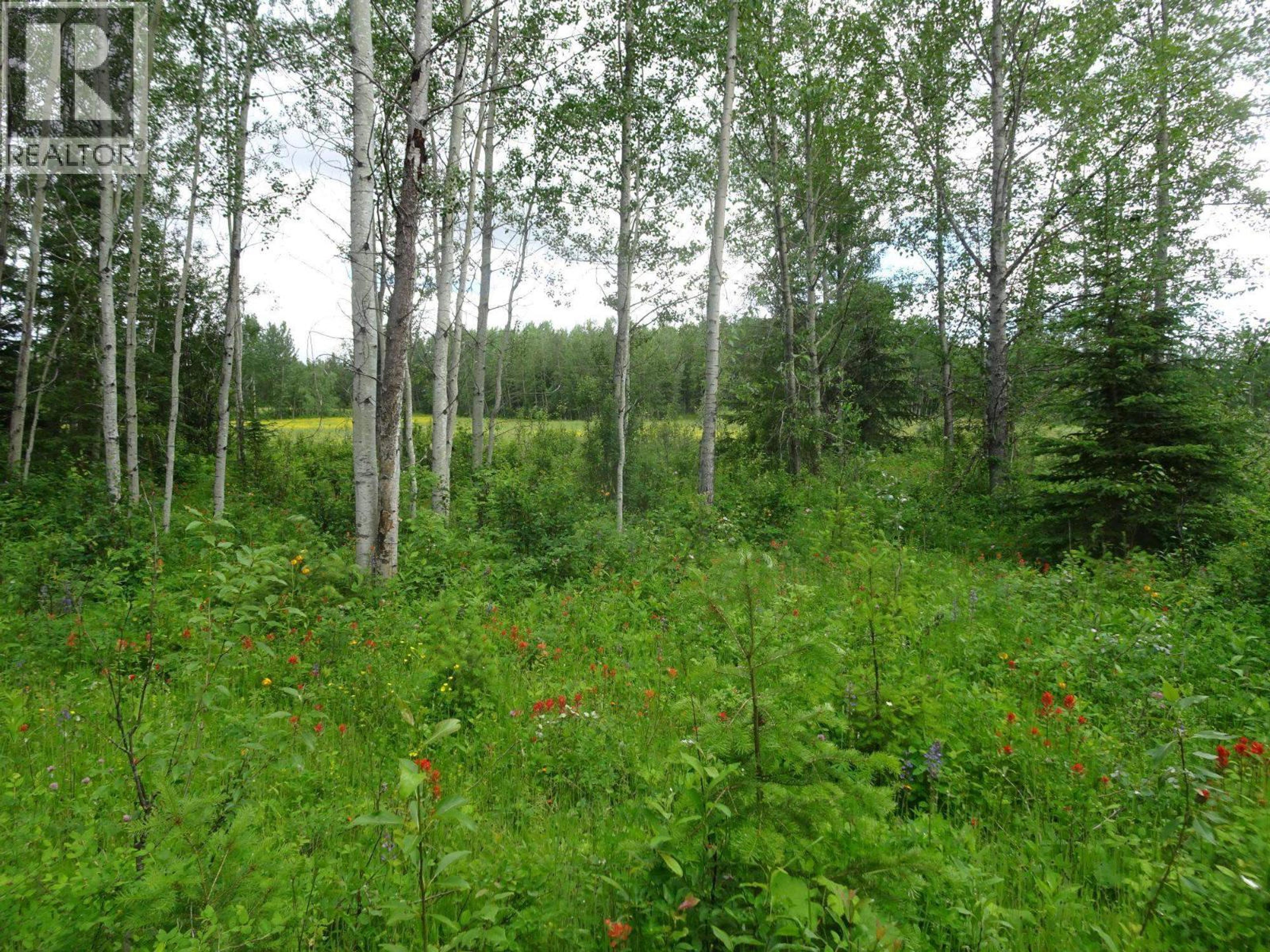 DL5277 DAY ROAD - 21