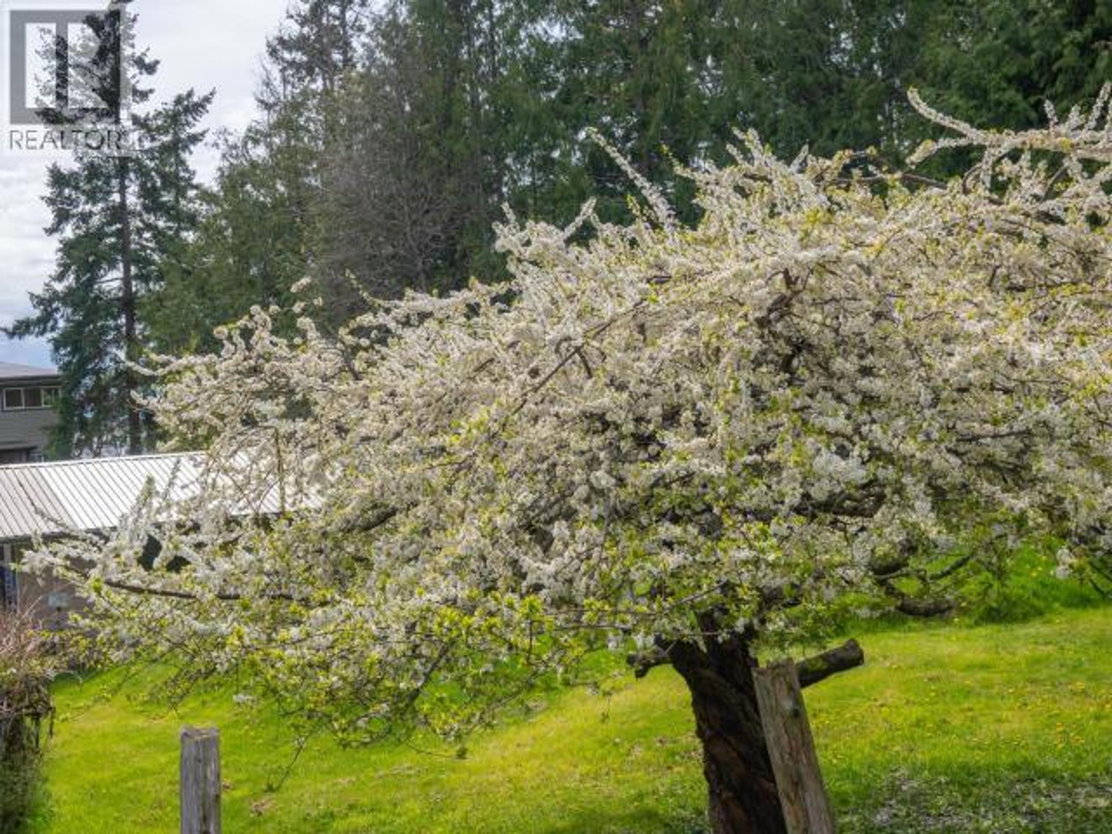 3431 ATREVIDA ROAD - 85