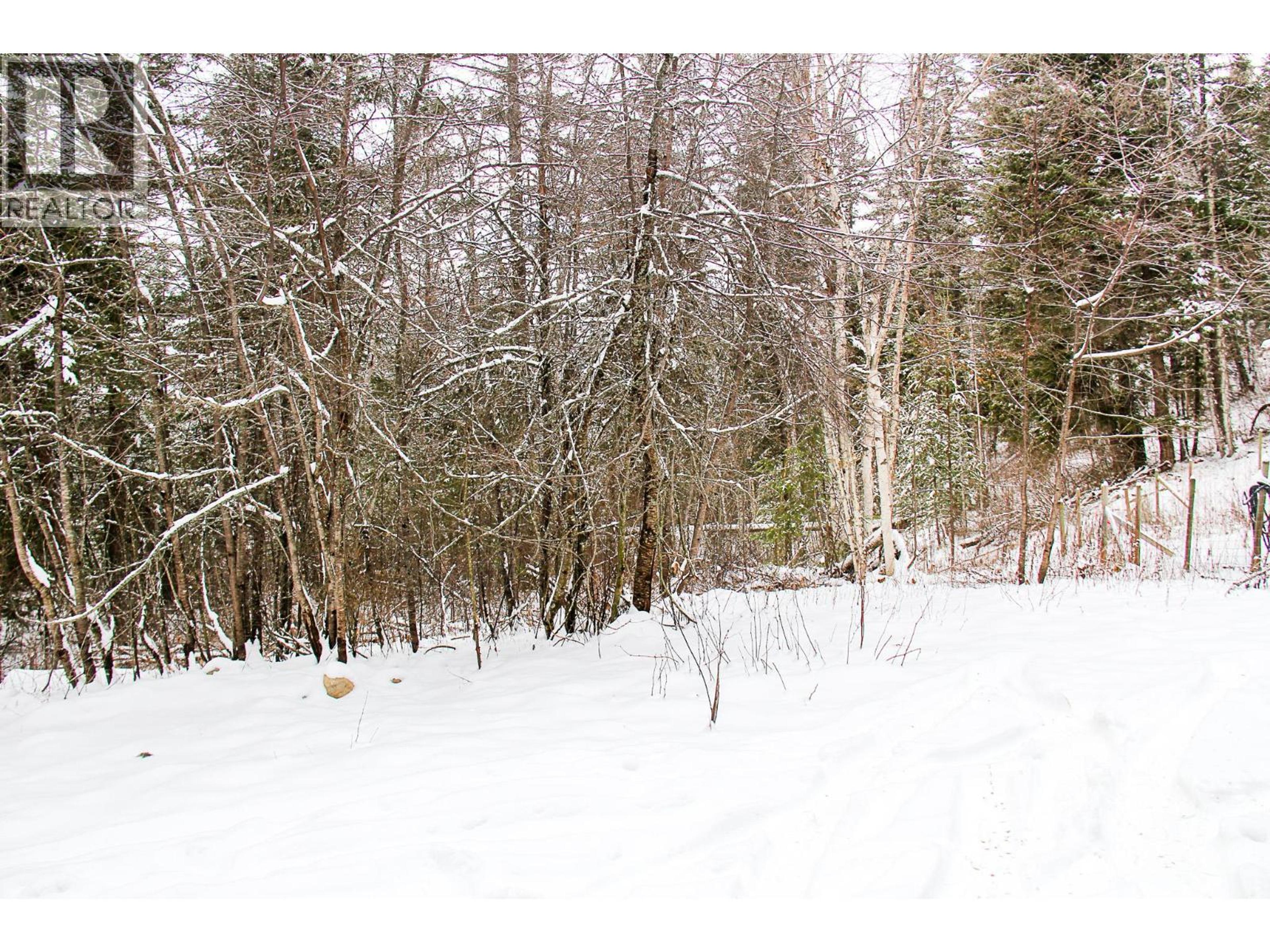 2369 BARRIERE LAKES ROAD - Image 8