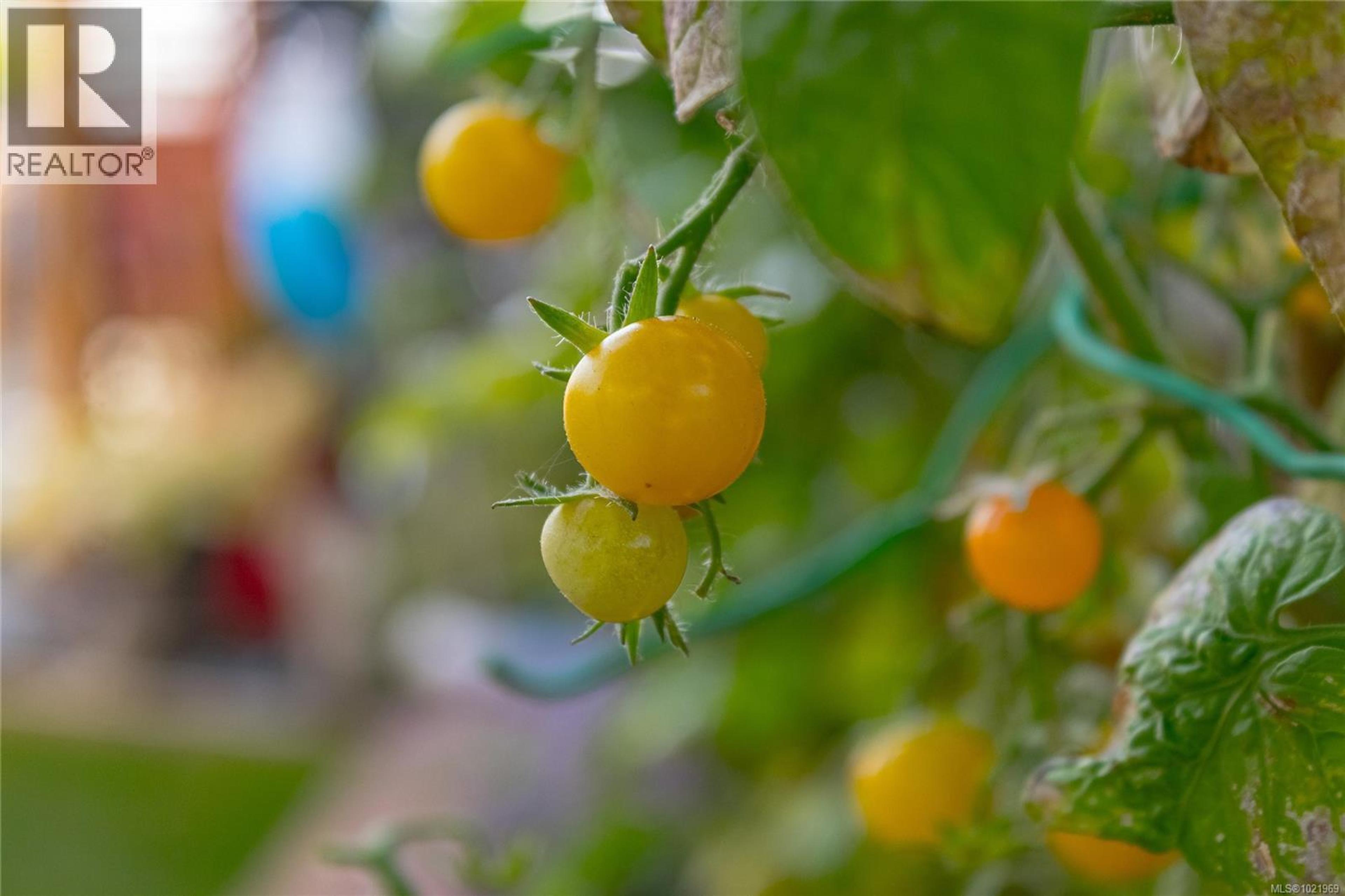 #42 450 STANFORD AVE E - 58