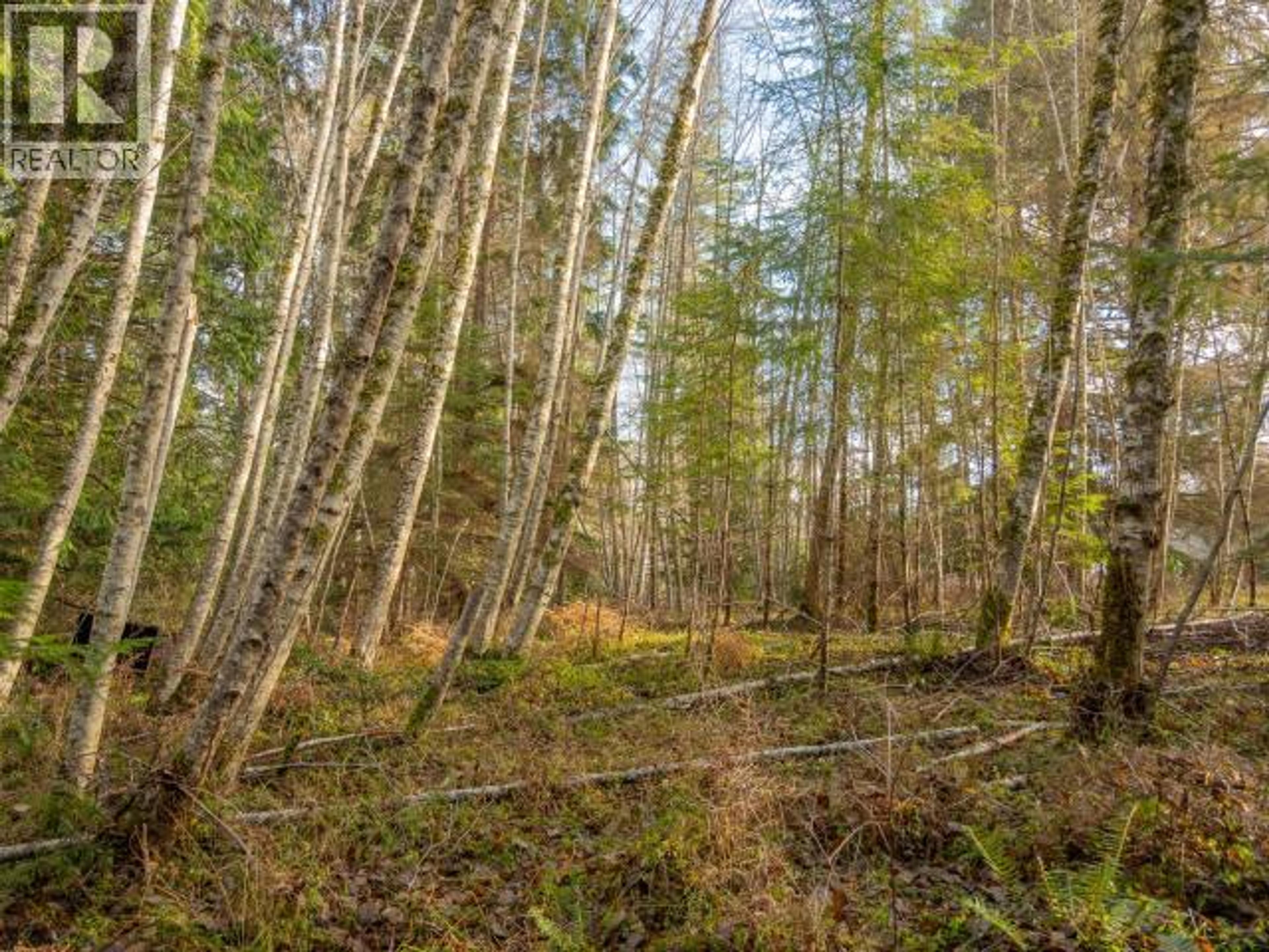 3559 GILLIES BAY RD ROAD - 6