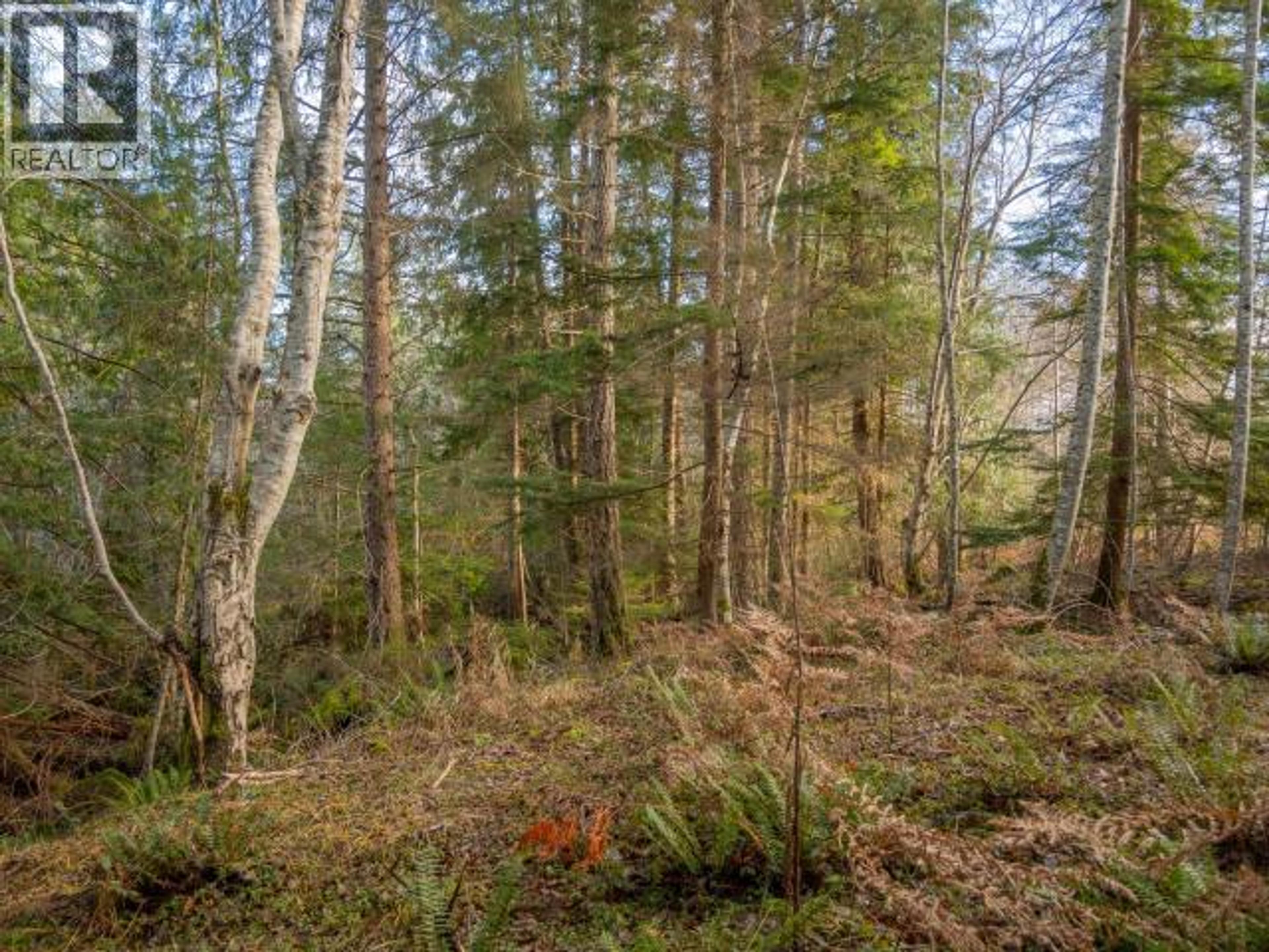 3559 GILLIES BAY RD ROAD - 27