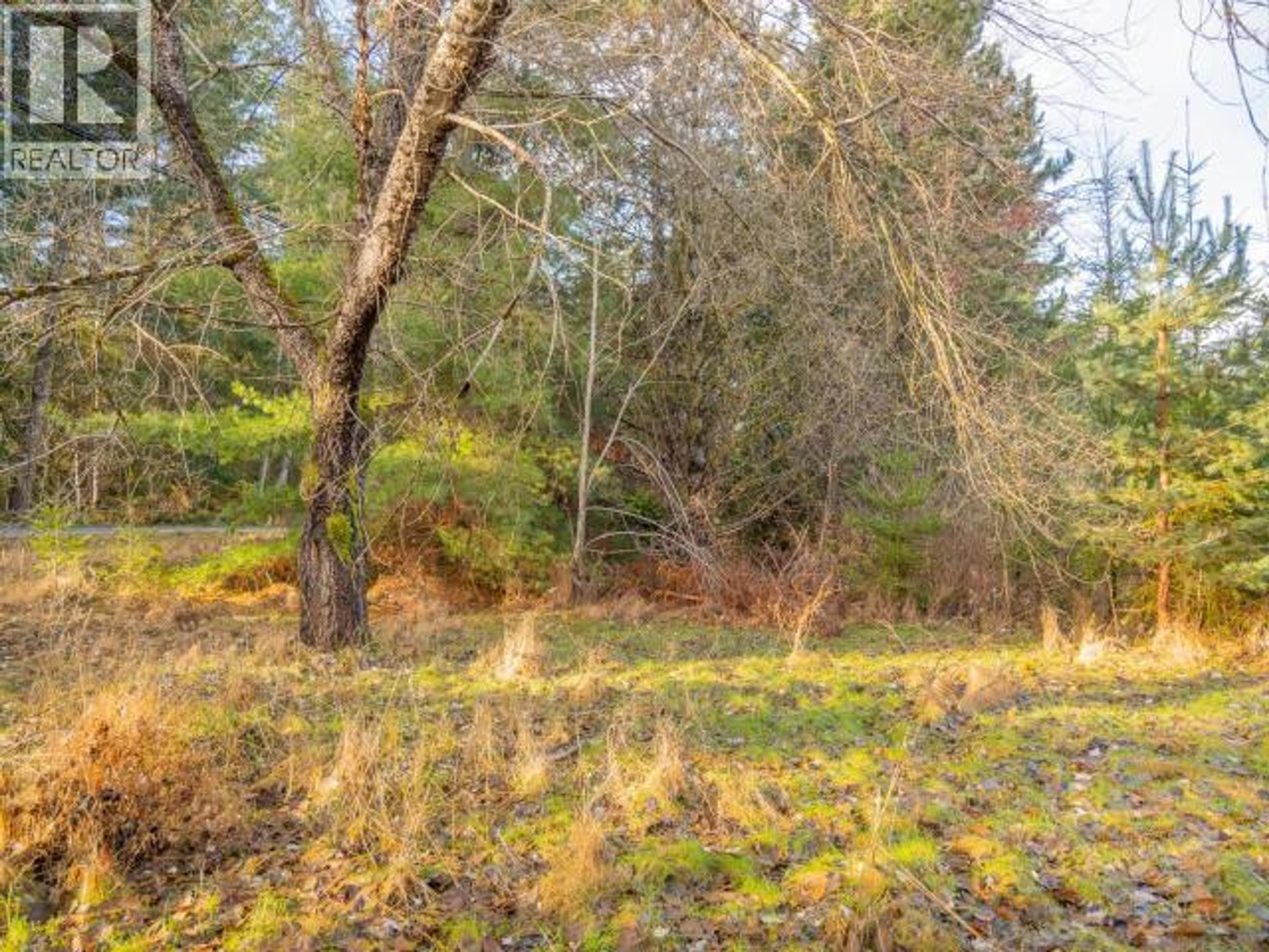 3559 GILLIES BAY RD ROAD - 34