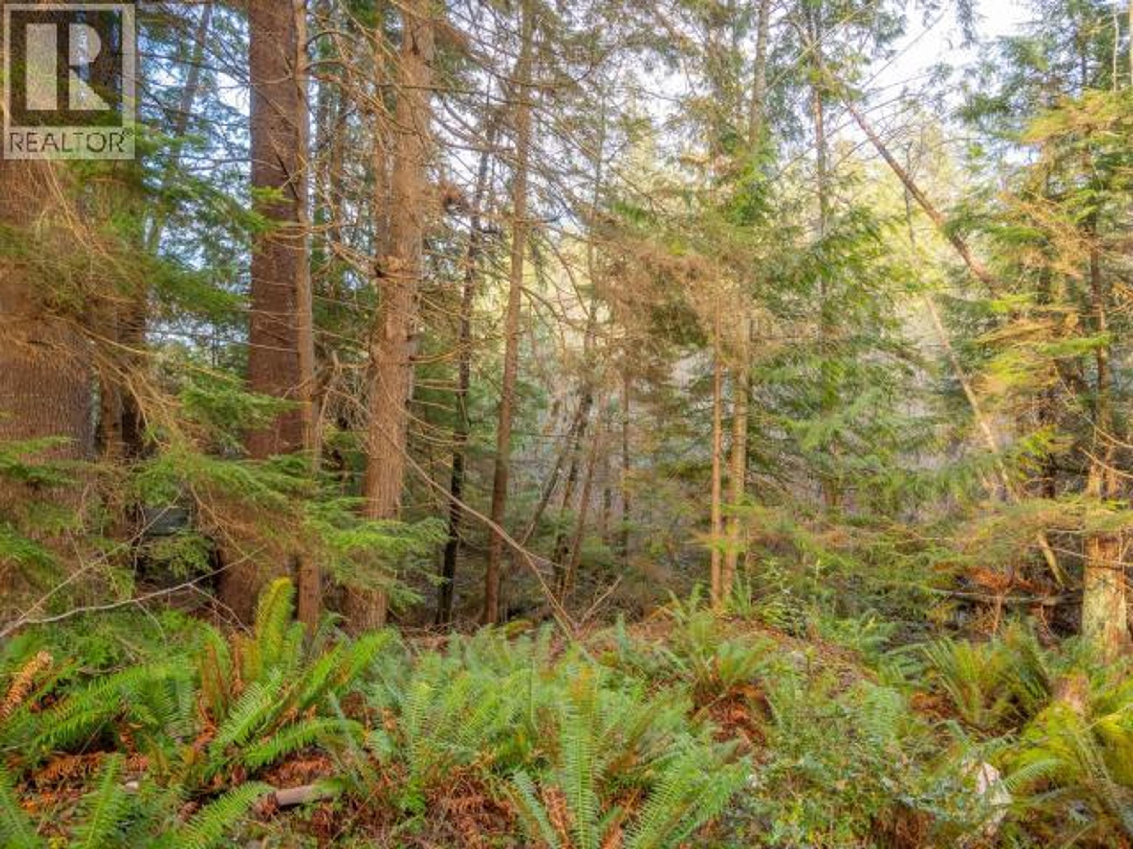 3559 GILLIES BAY RD ROAD - Image 3