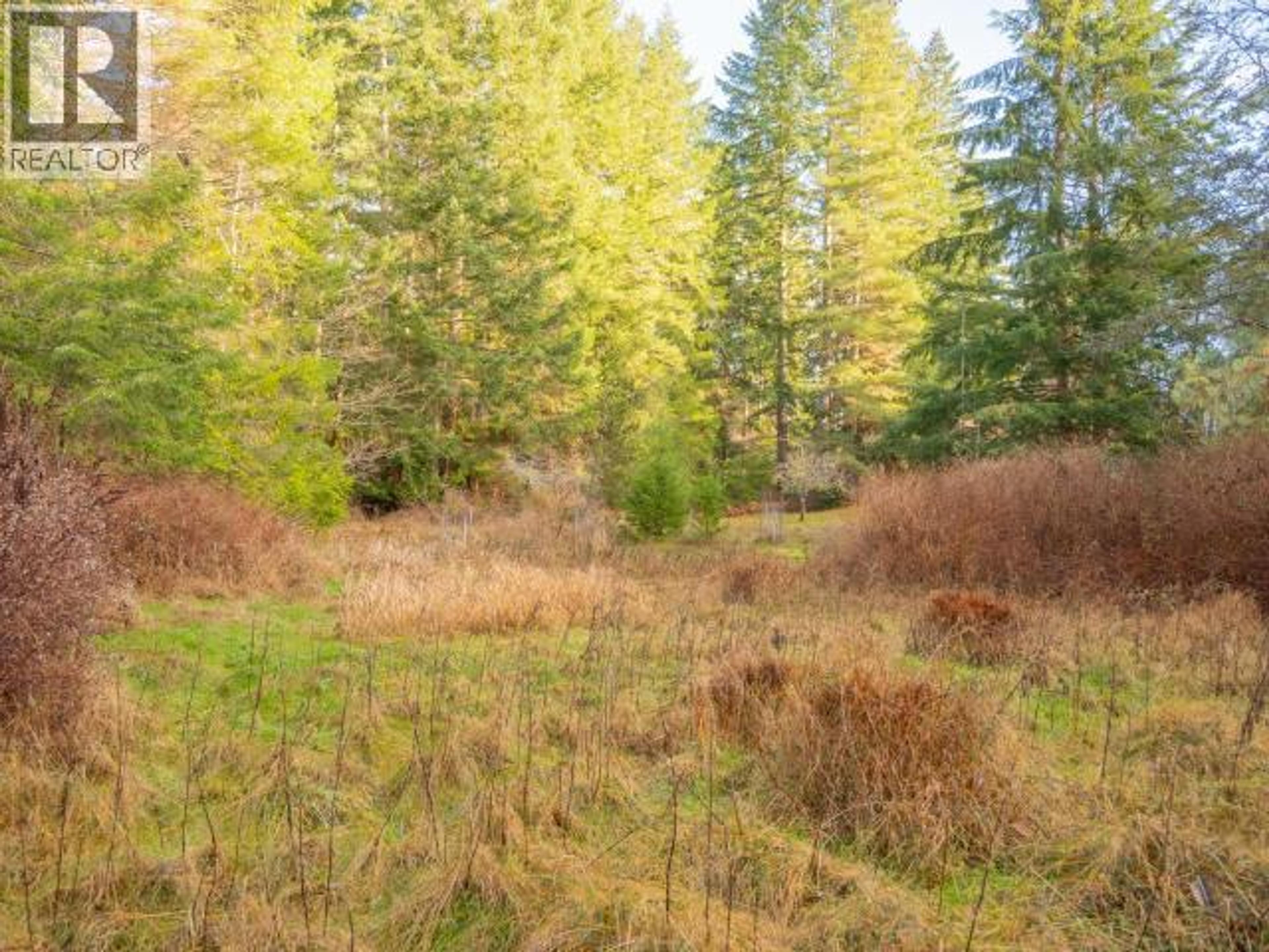 3559 GILLIES BAY RD ROAD - 36