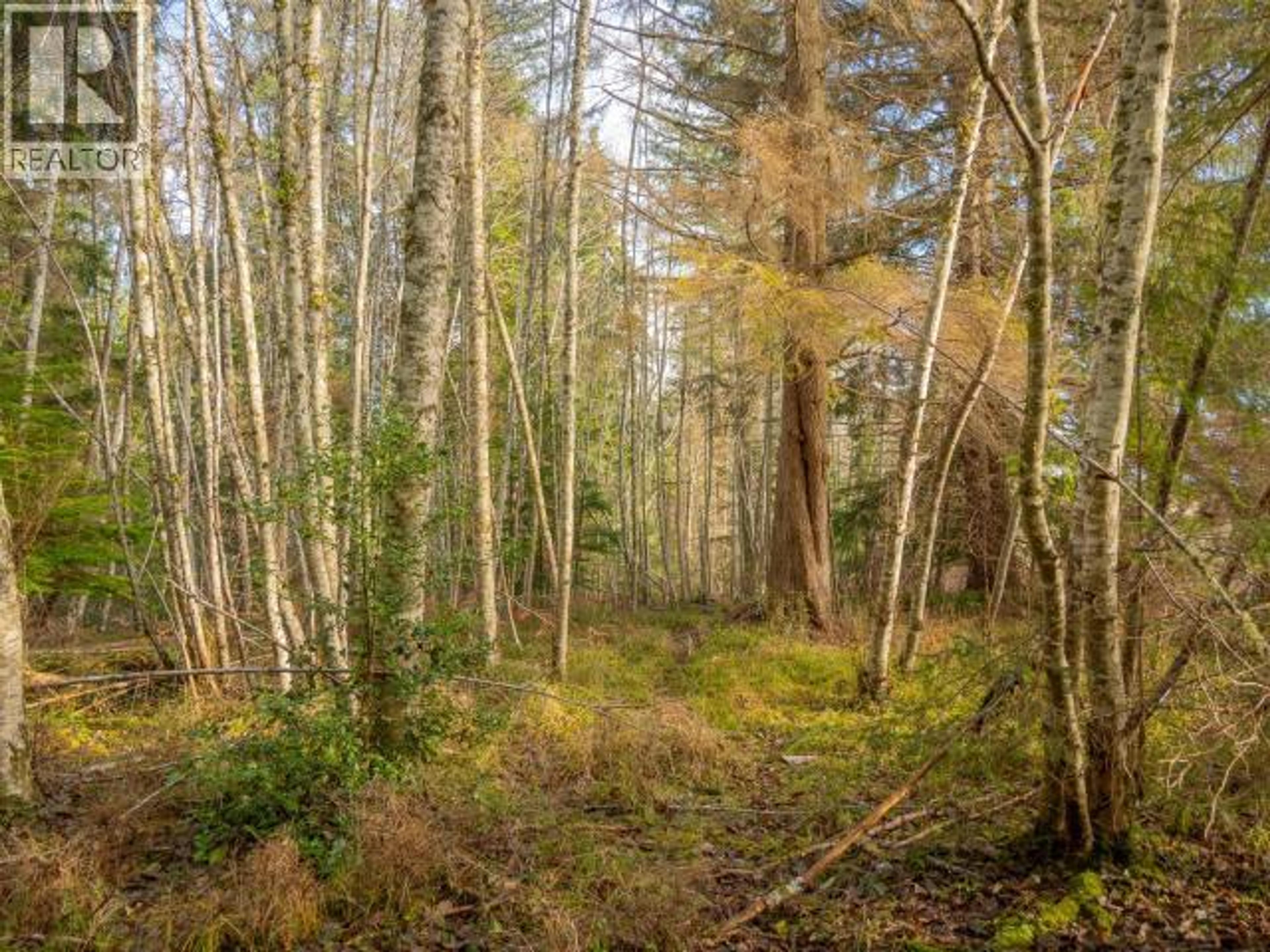 3559 GILLIES BAY RD ROAD - 28