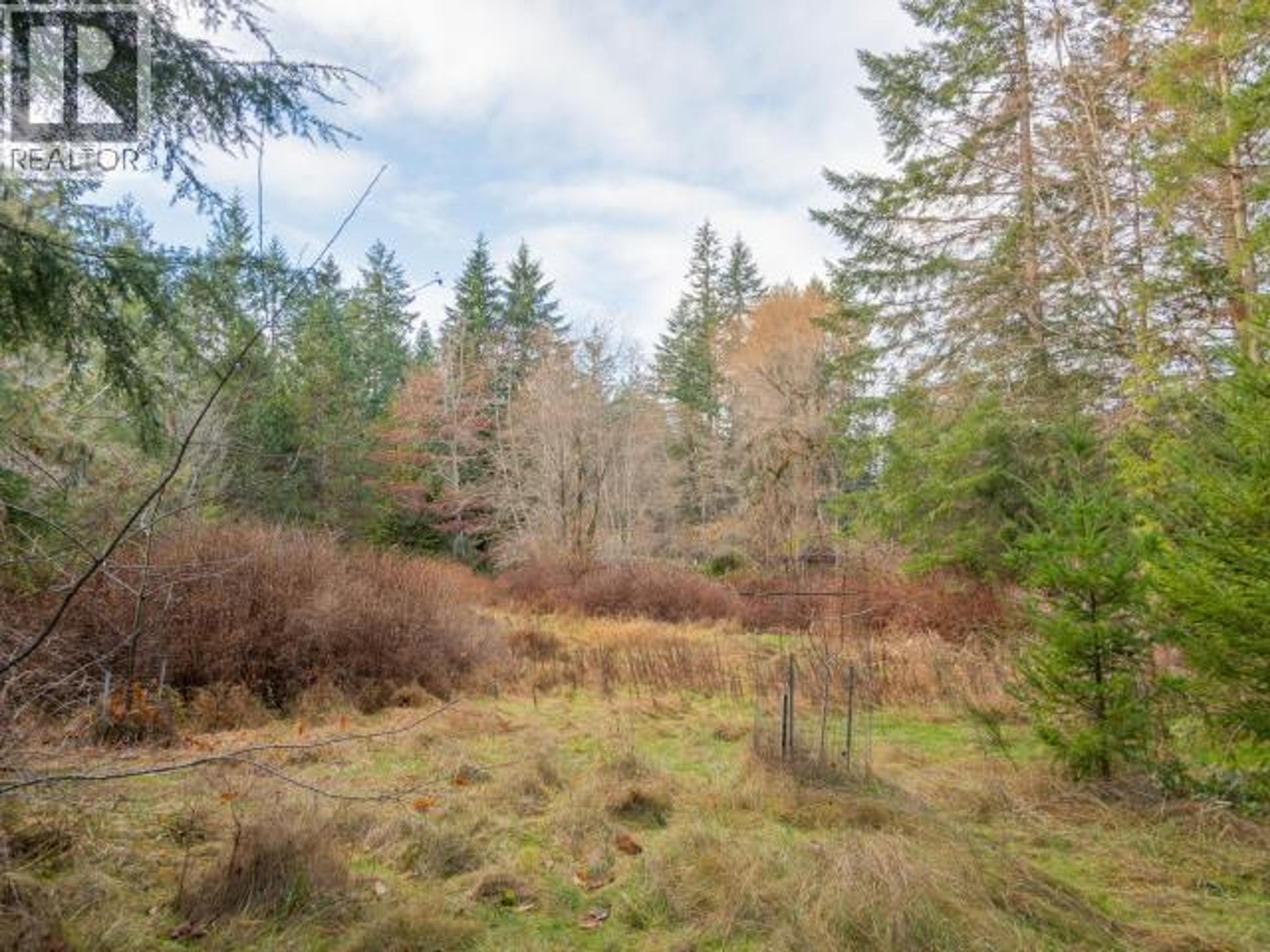 3559 GILLIES BAY RD ROAD - 10