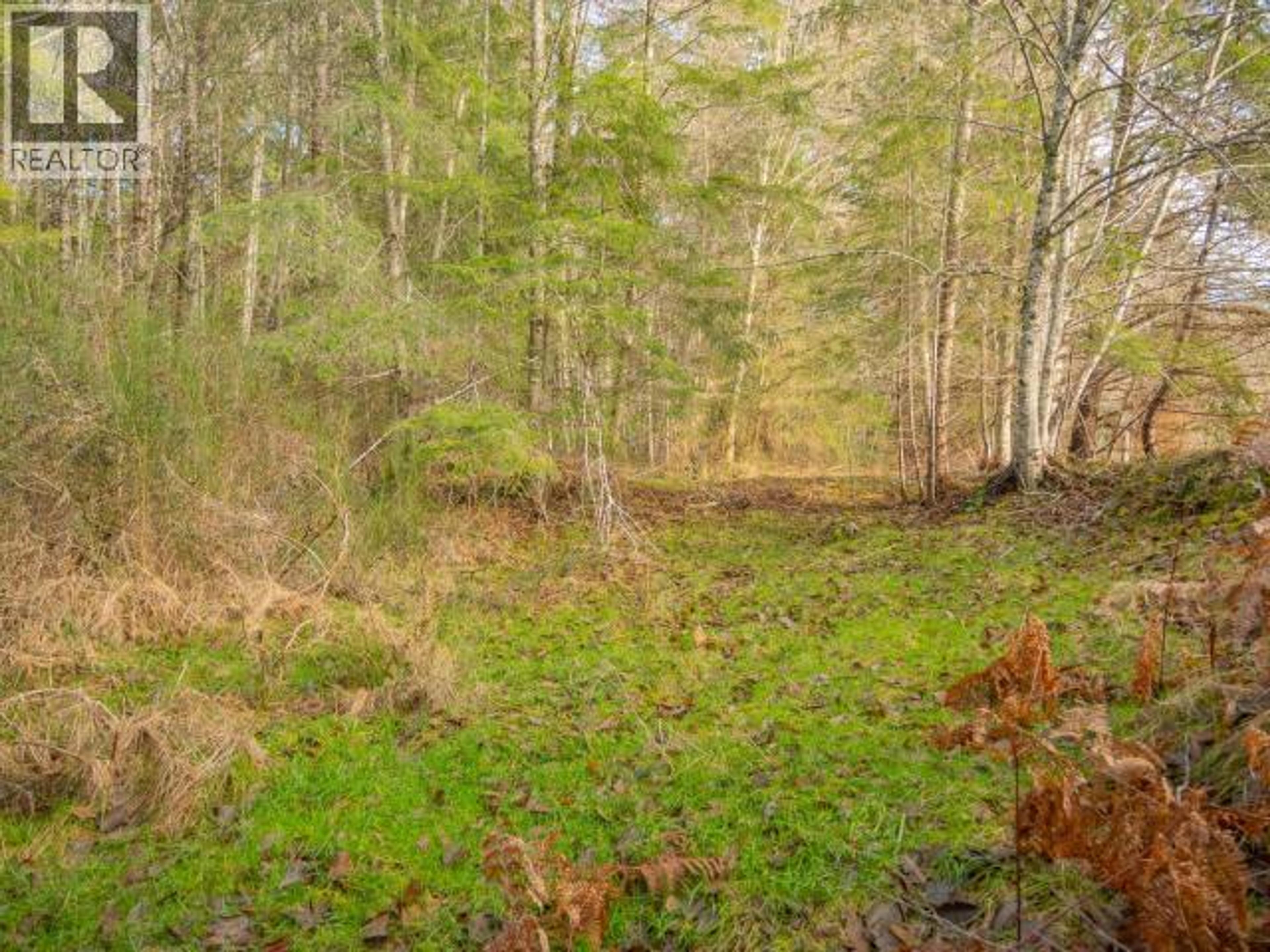 3559 GILLIES BAY RD ROAD - 7