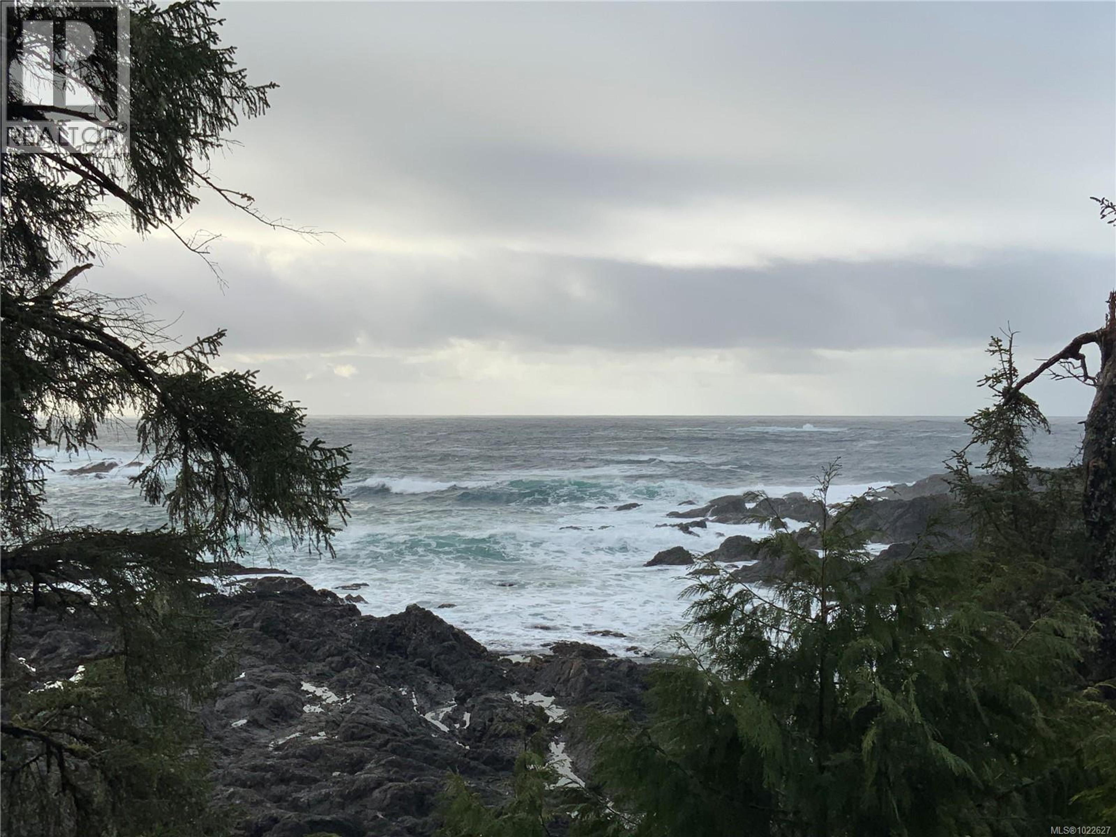 #1601 596 MARINE DR - 29