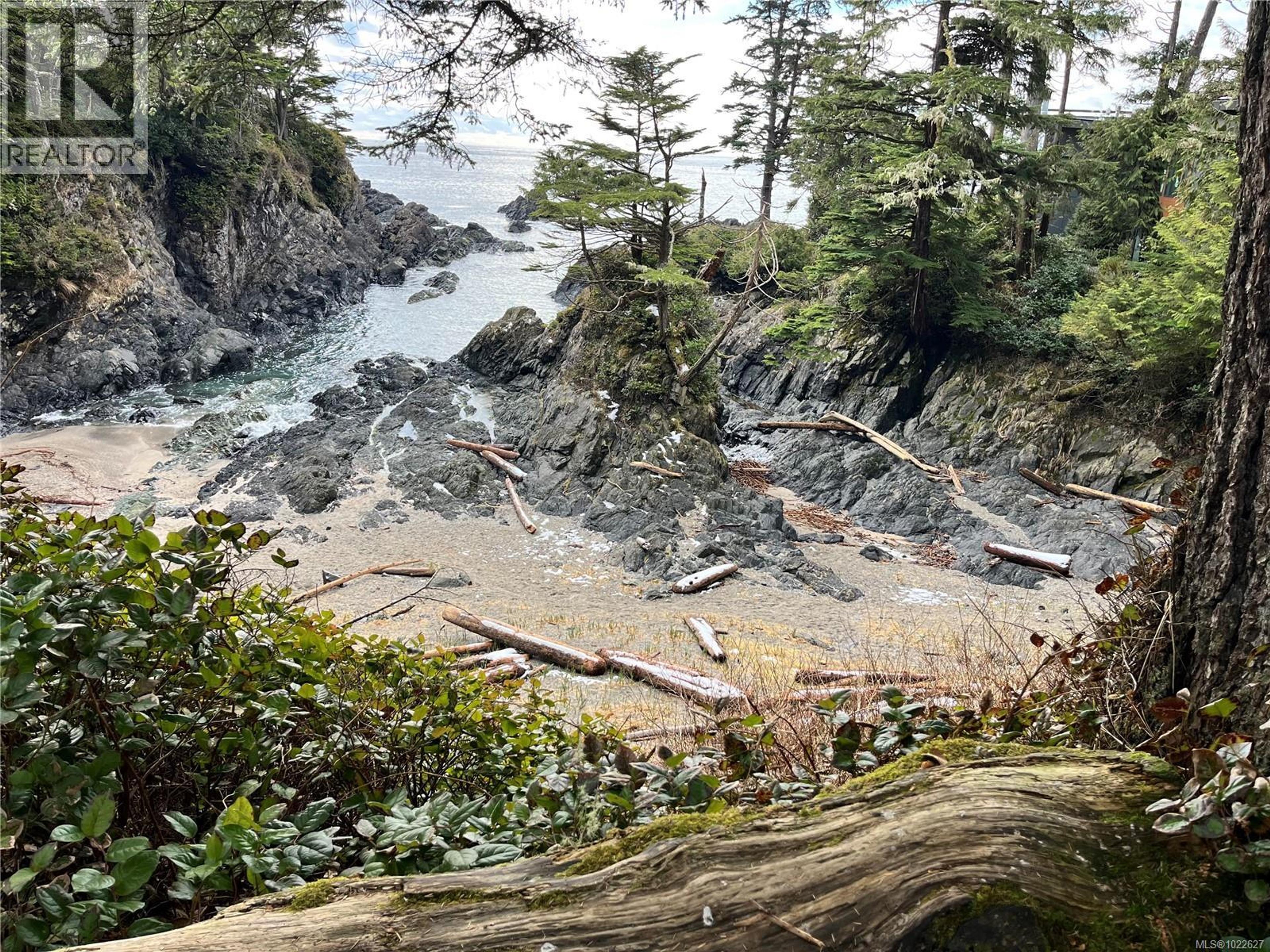 #1601 596 MARINE DR - 55