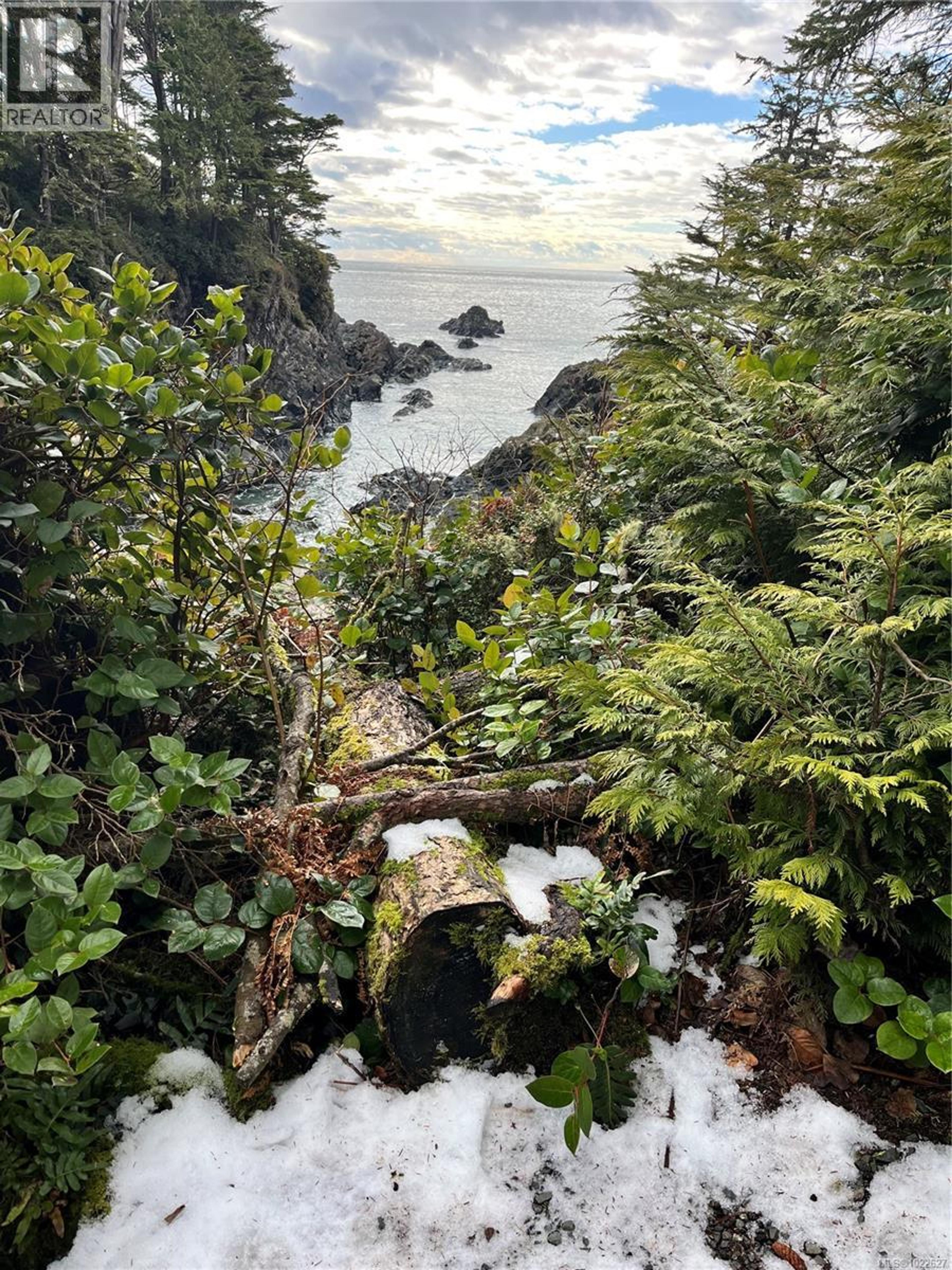 #1601 596 MARINE DR - 56