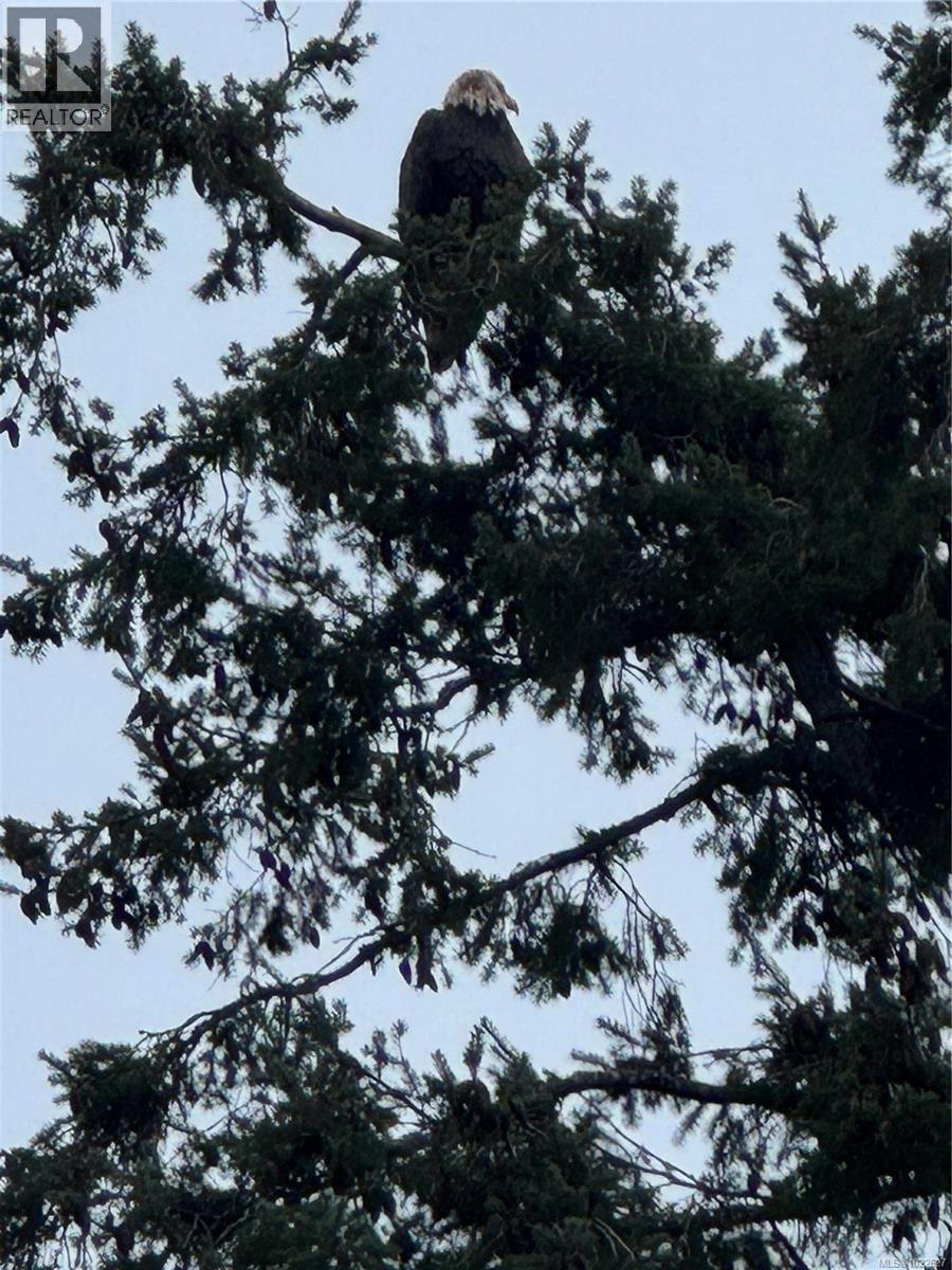 #1601 596 MARINE DR - 58