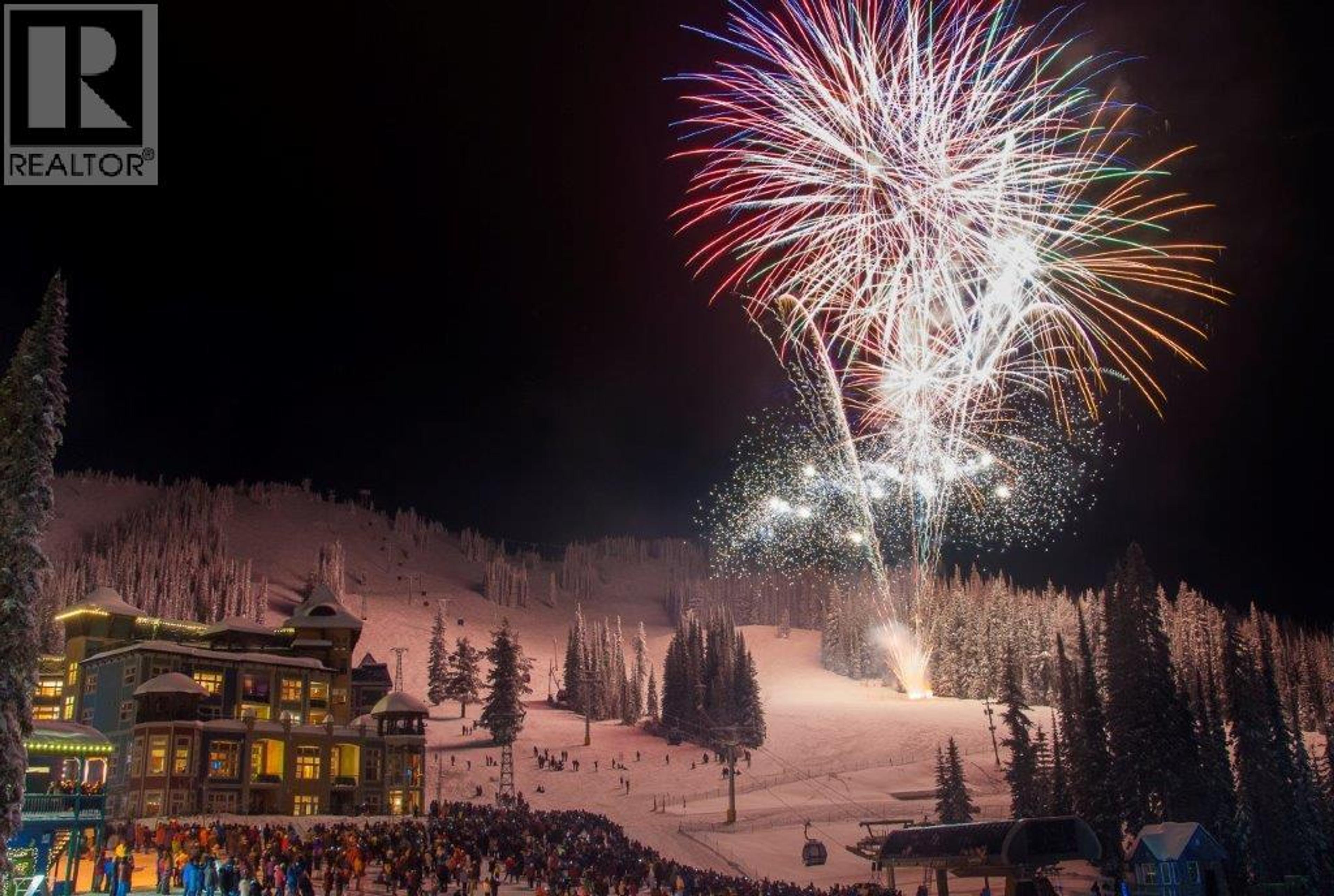 #309 148 SILVER LODE LANE - Image 3