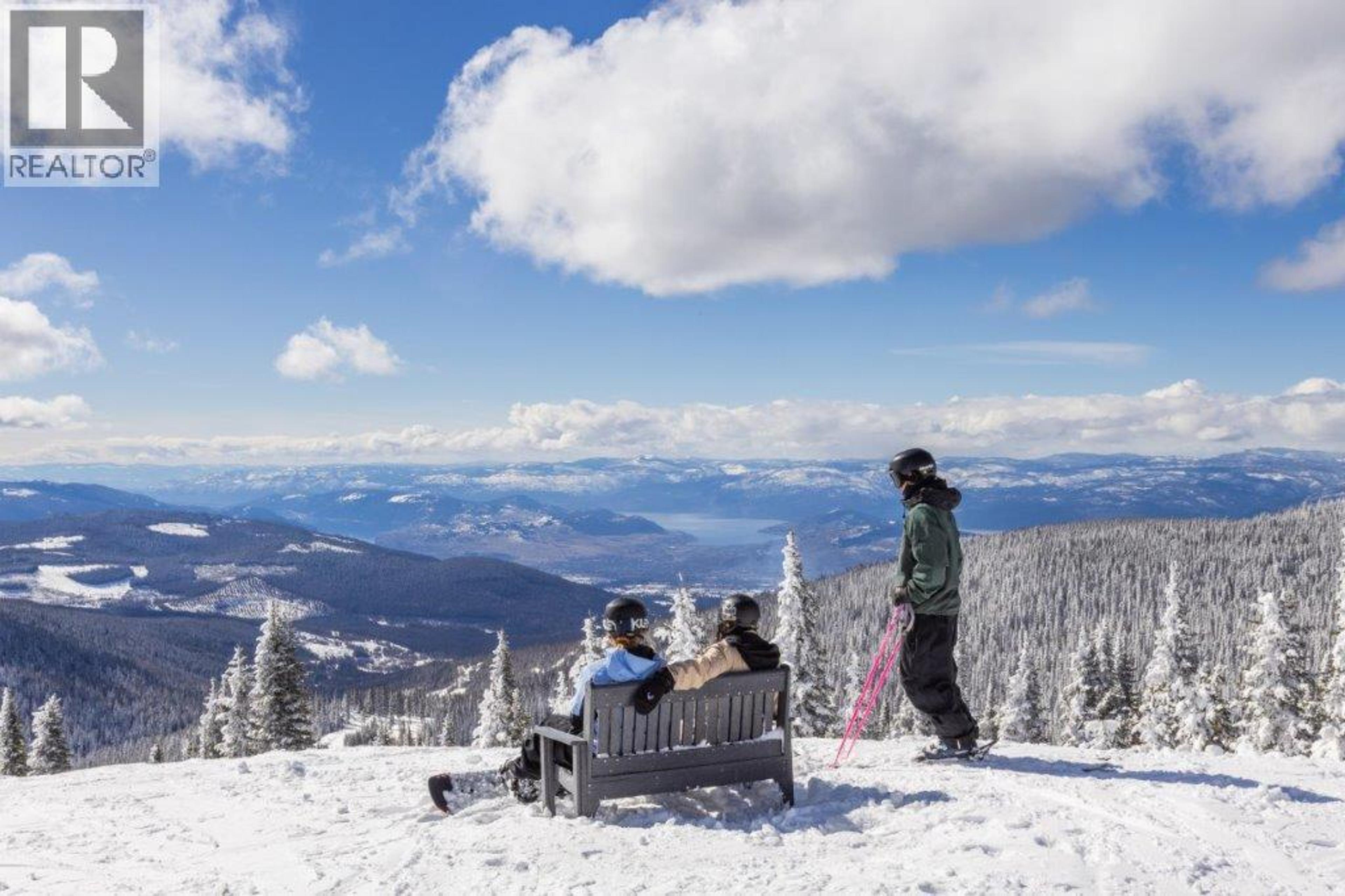 #309 148 SILVER LODE LANE - 22