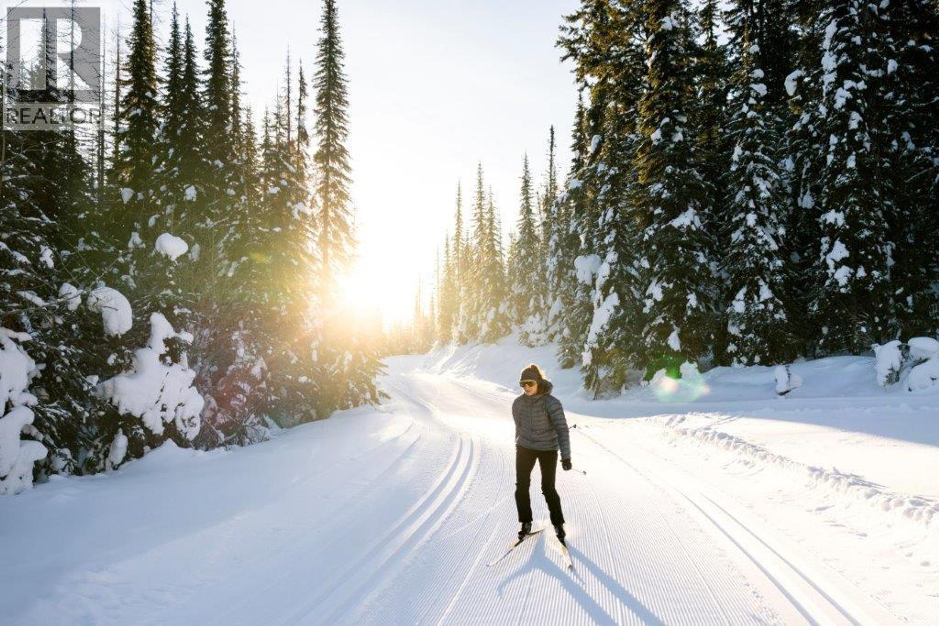 #309 148 SILVER LODE LANE - 21