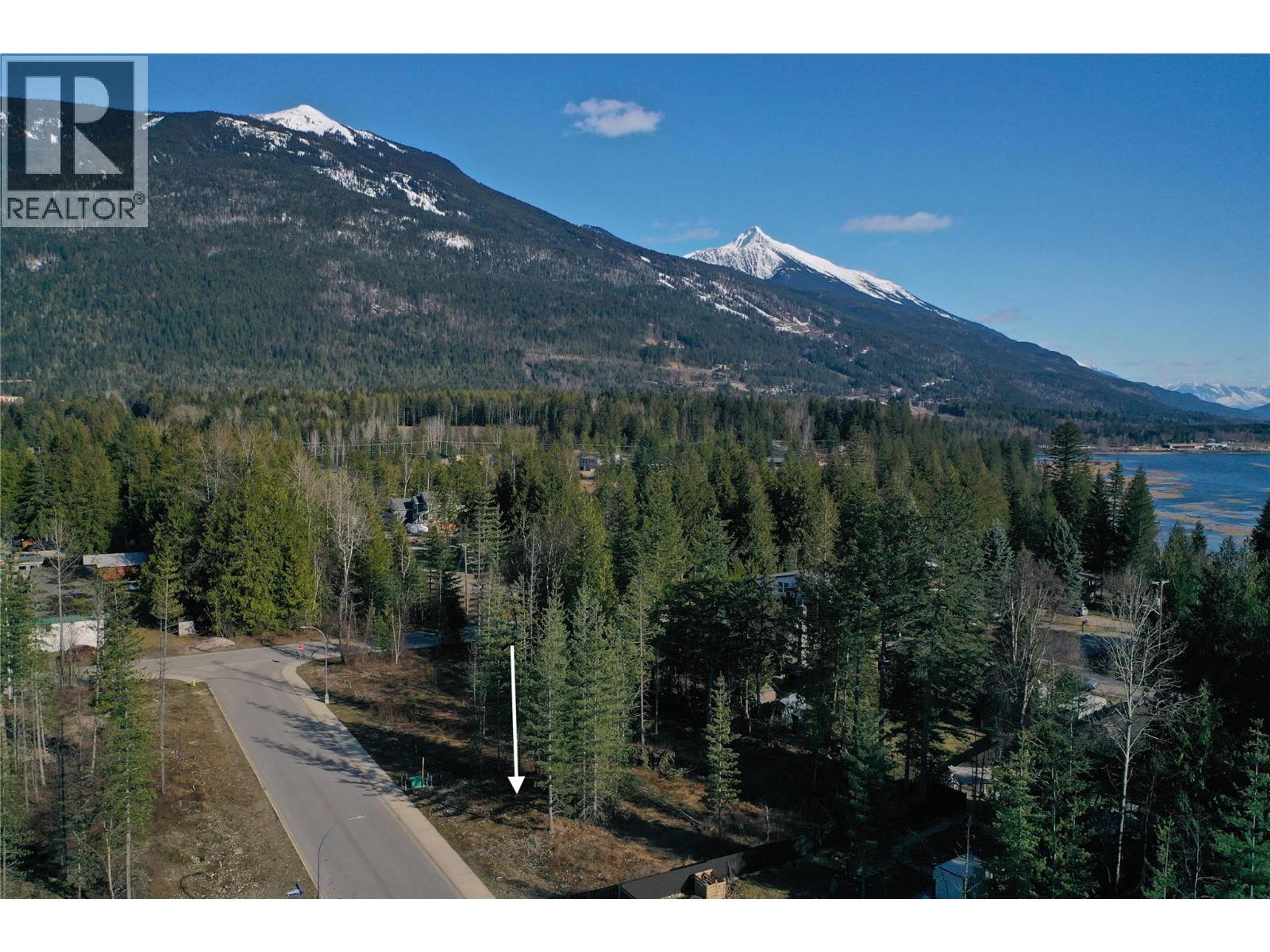 1039 WILLIAMS GATE LANE - Image 5