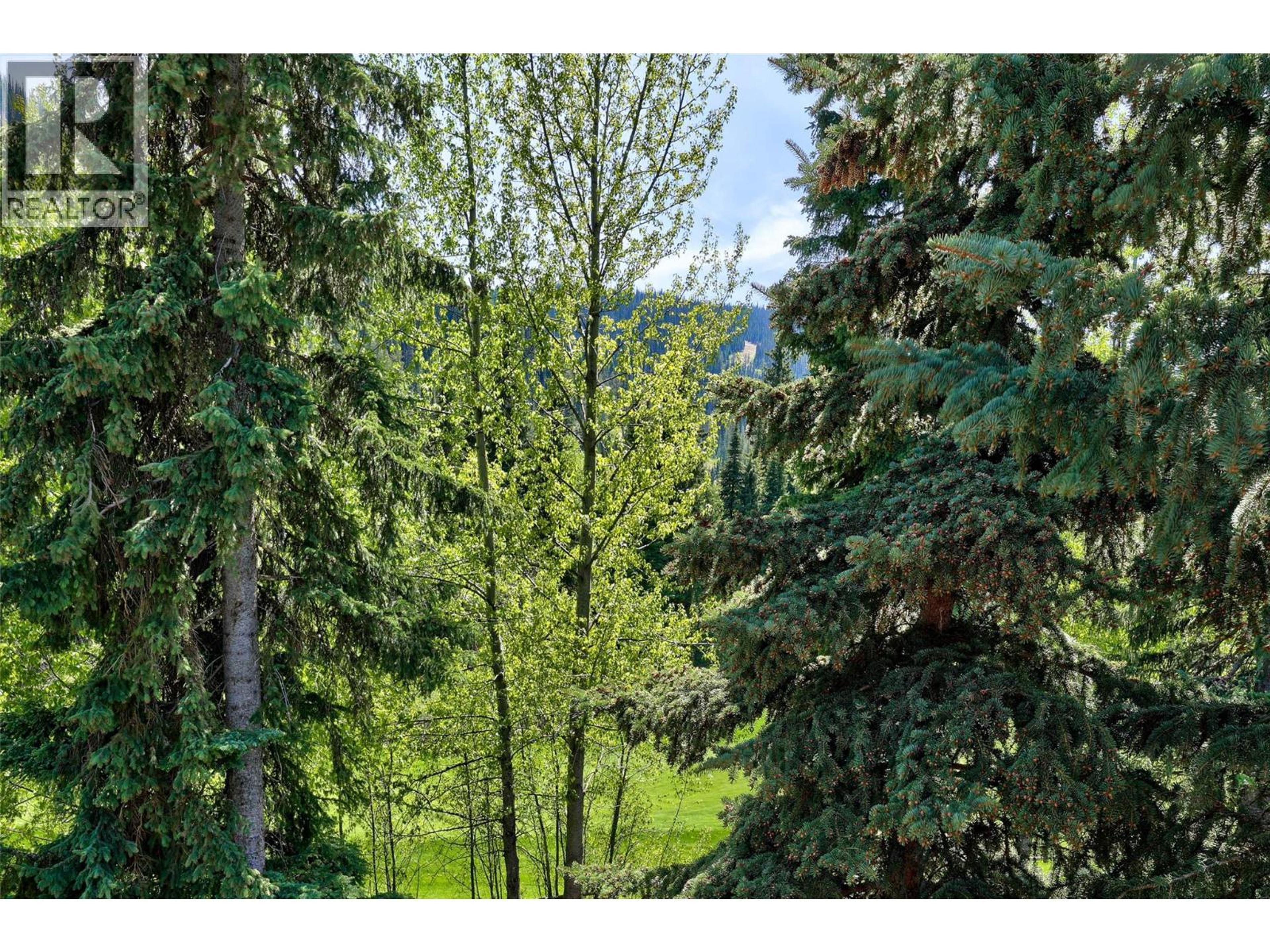 #24 2140 SUN PEAKS ROAD - 24