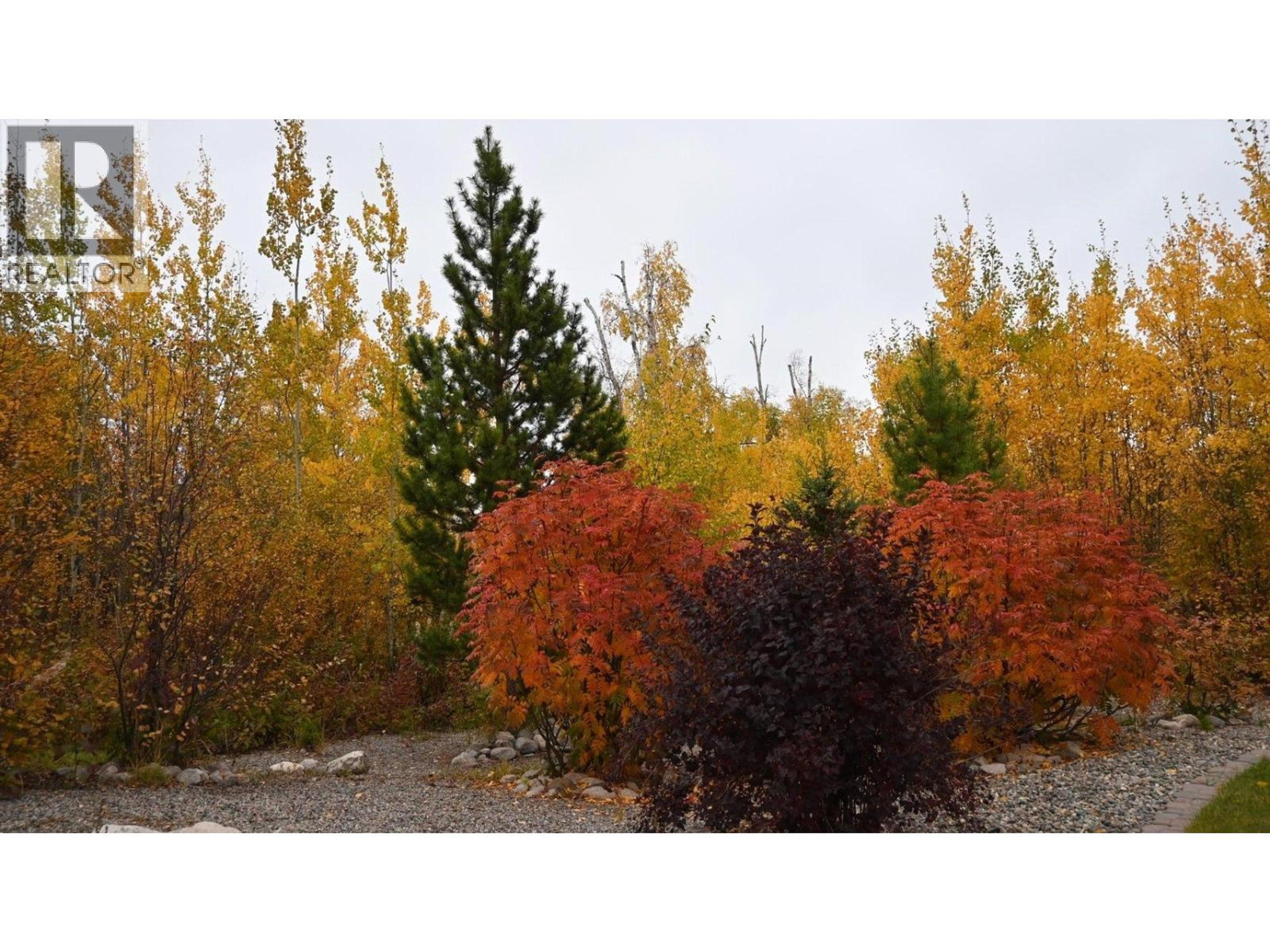 28502 FAWCETT ROAD - 7