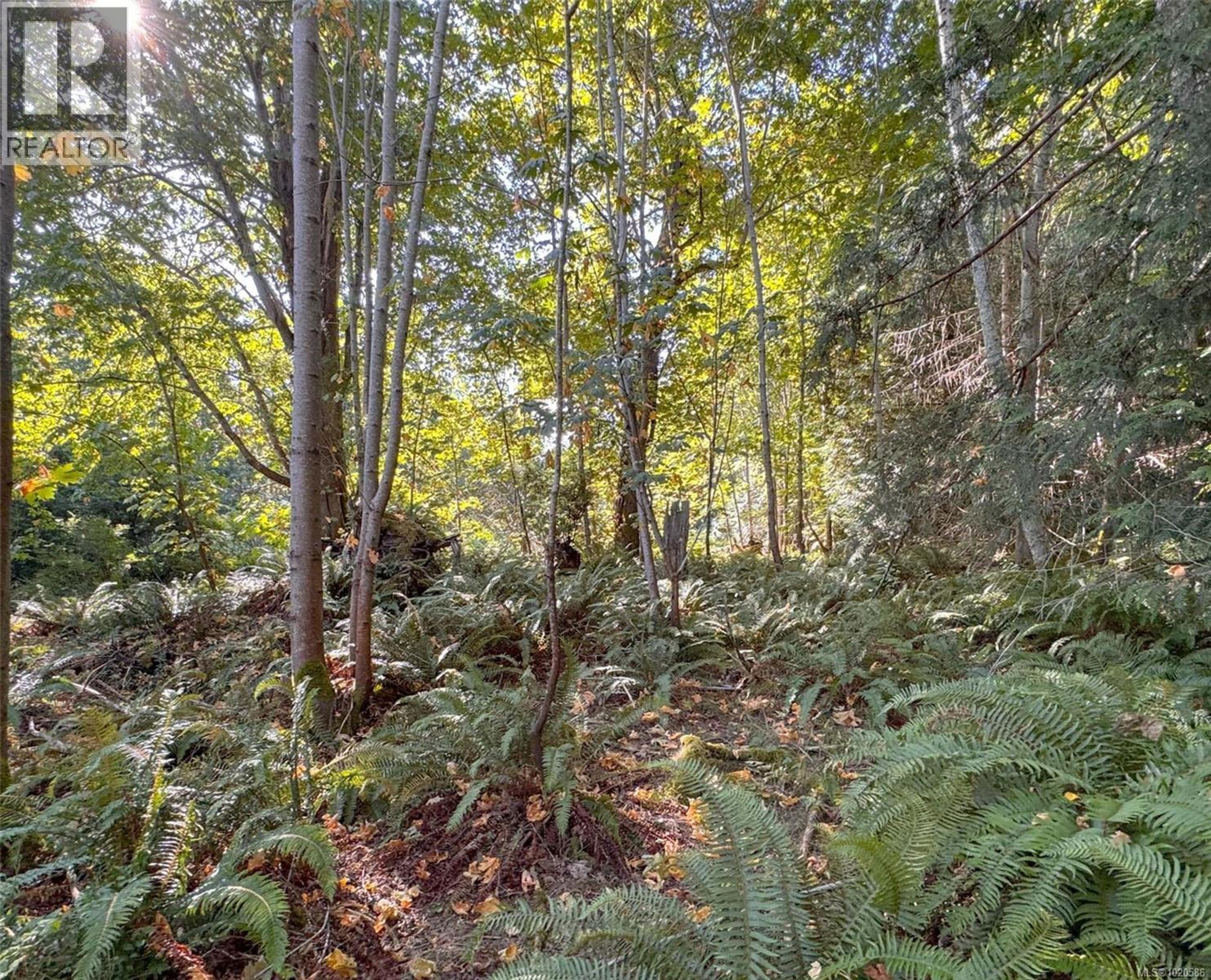 LOT 7 THE STRAND - Image 10