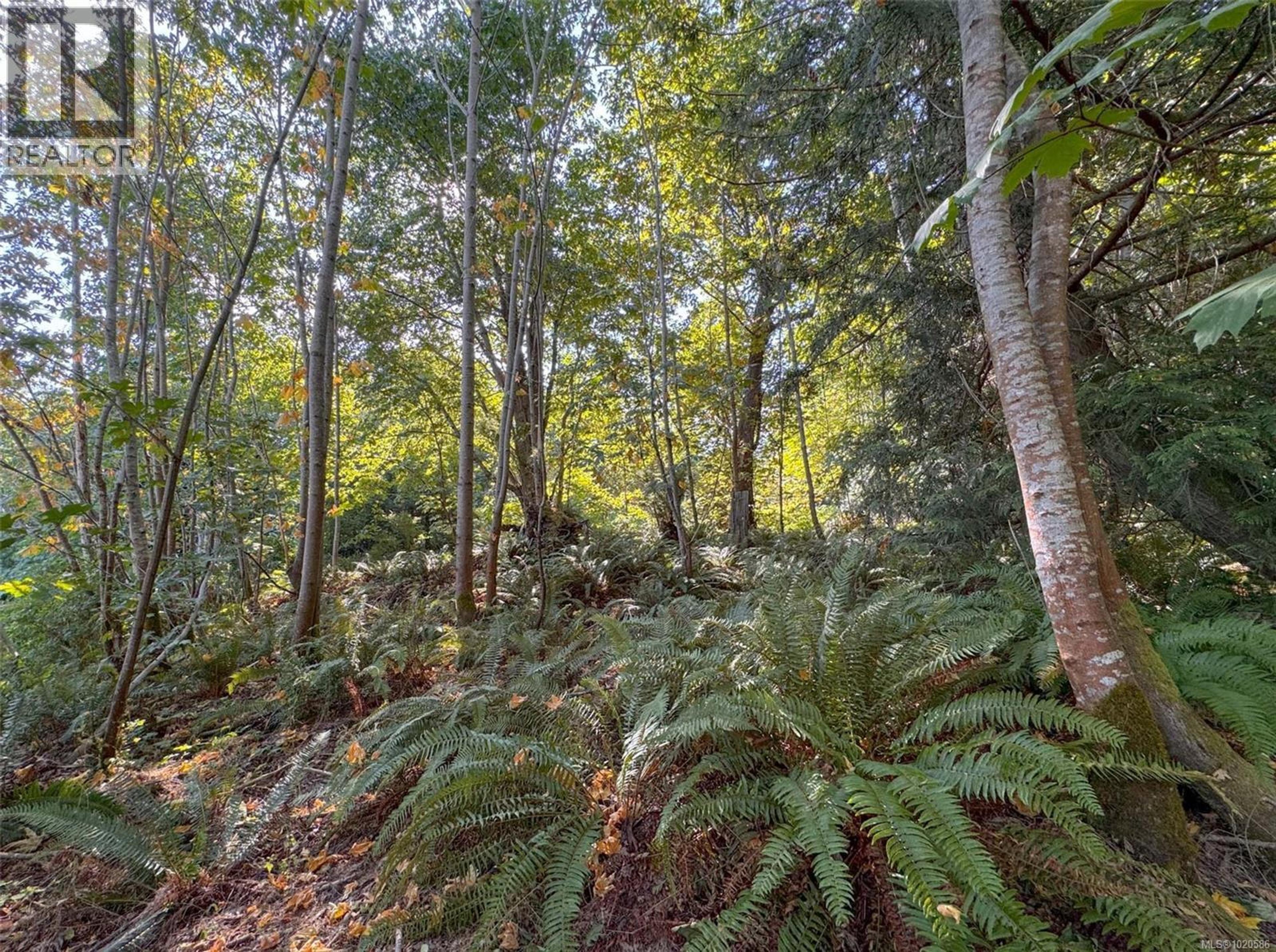 LOT 7 THE STRAND - Image 11