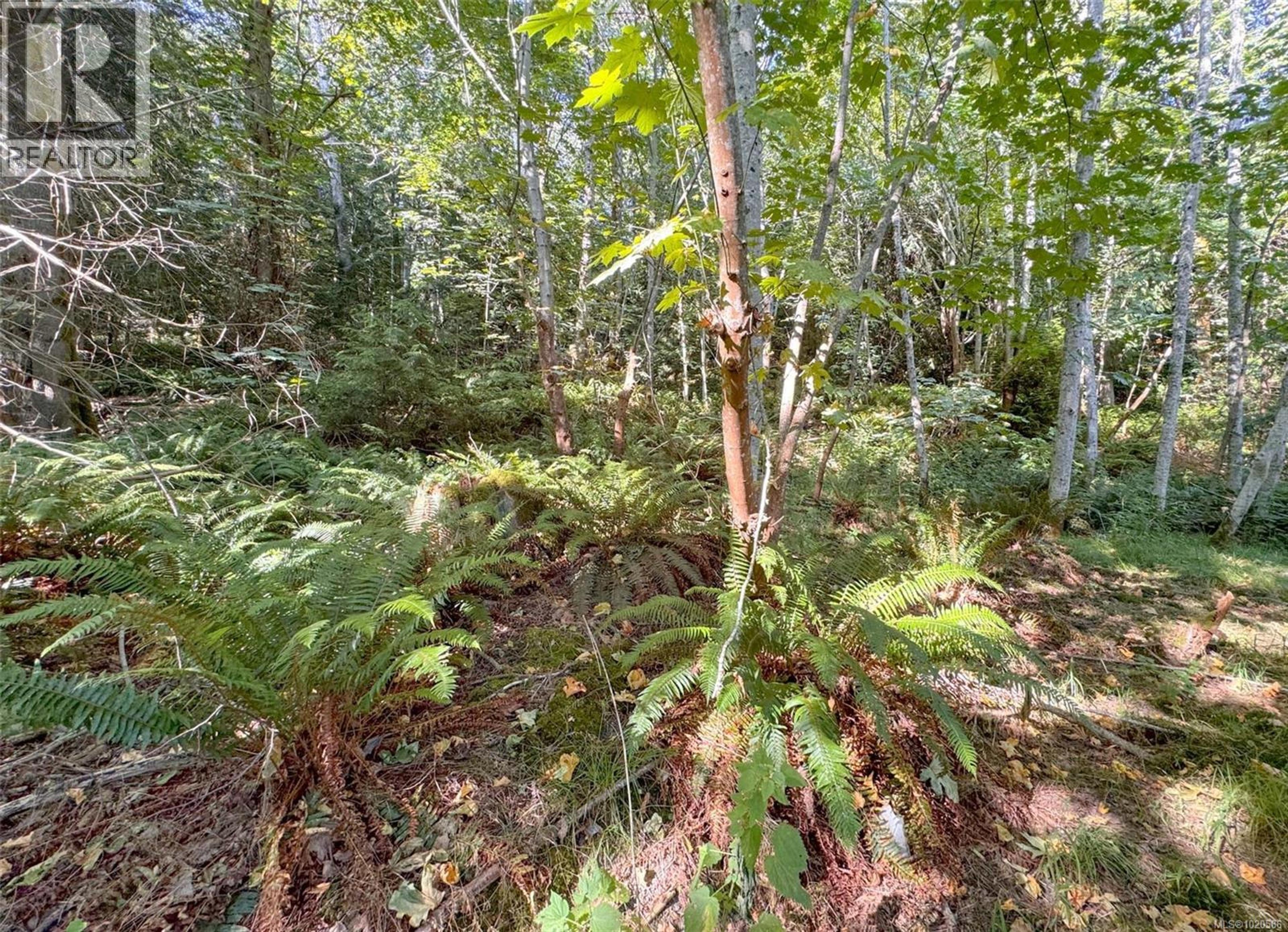 LOT 7 THE STRAND - Image 12