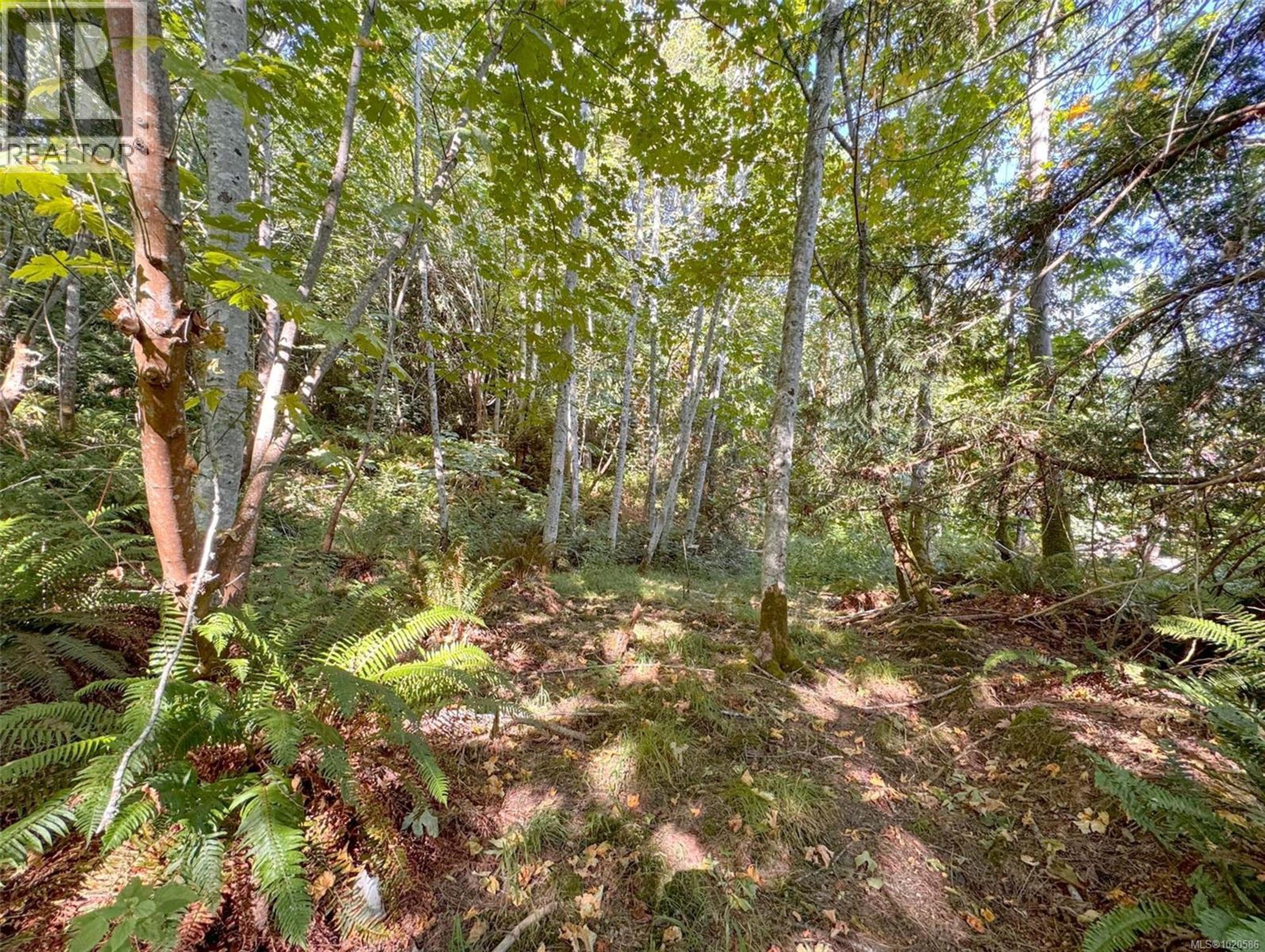 LOT 7 THE STRAND - Image 13