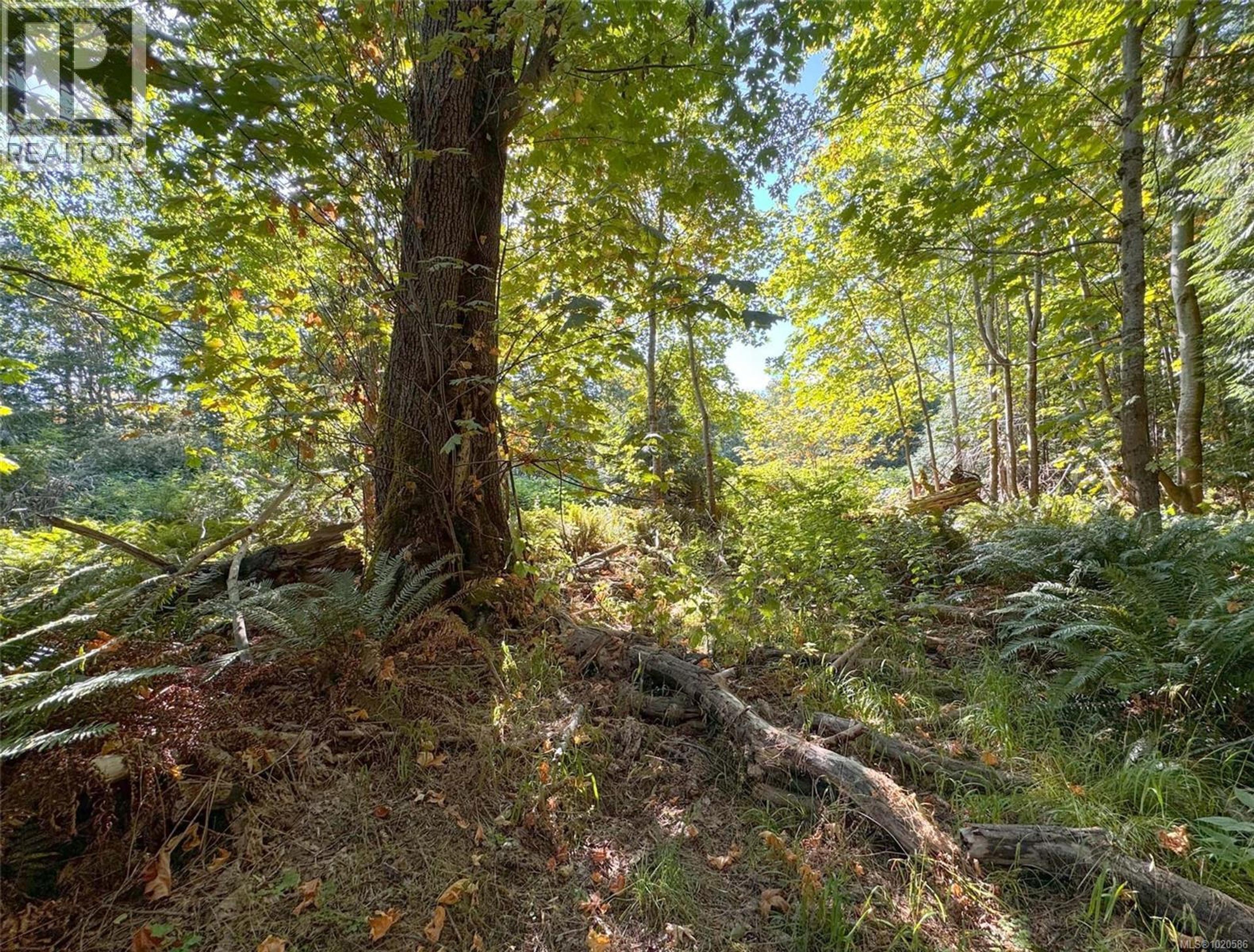 LOT 7 THE STRAND - Image 14