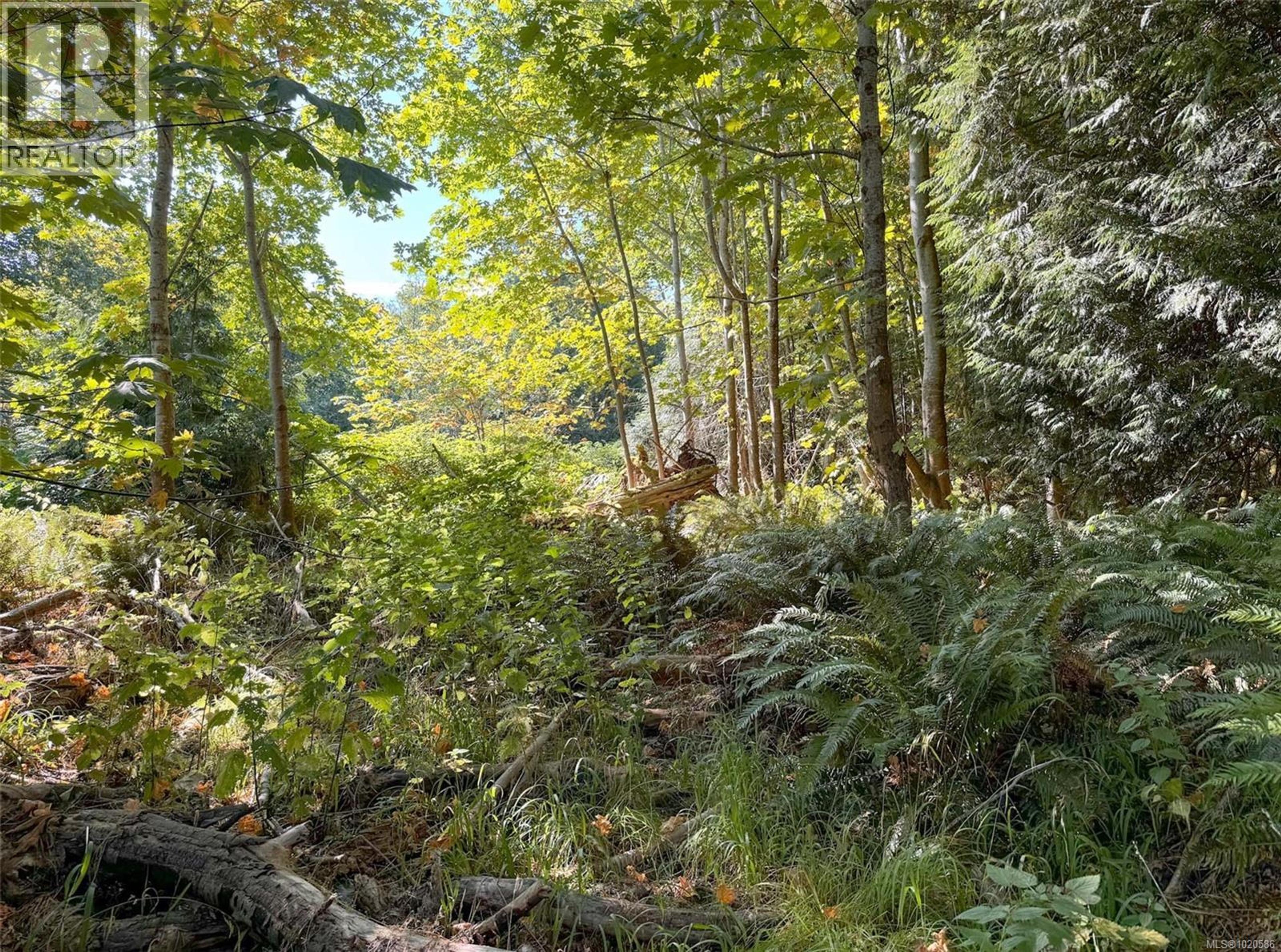 LOT 7 THE STRAND - Image 15