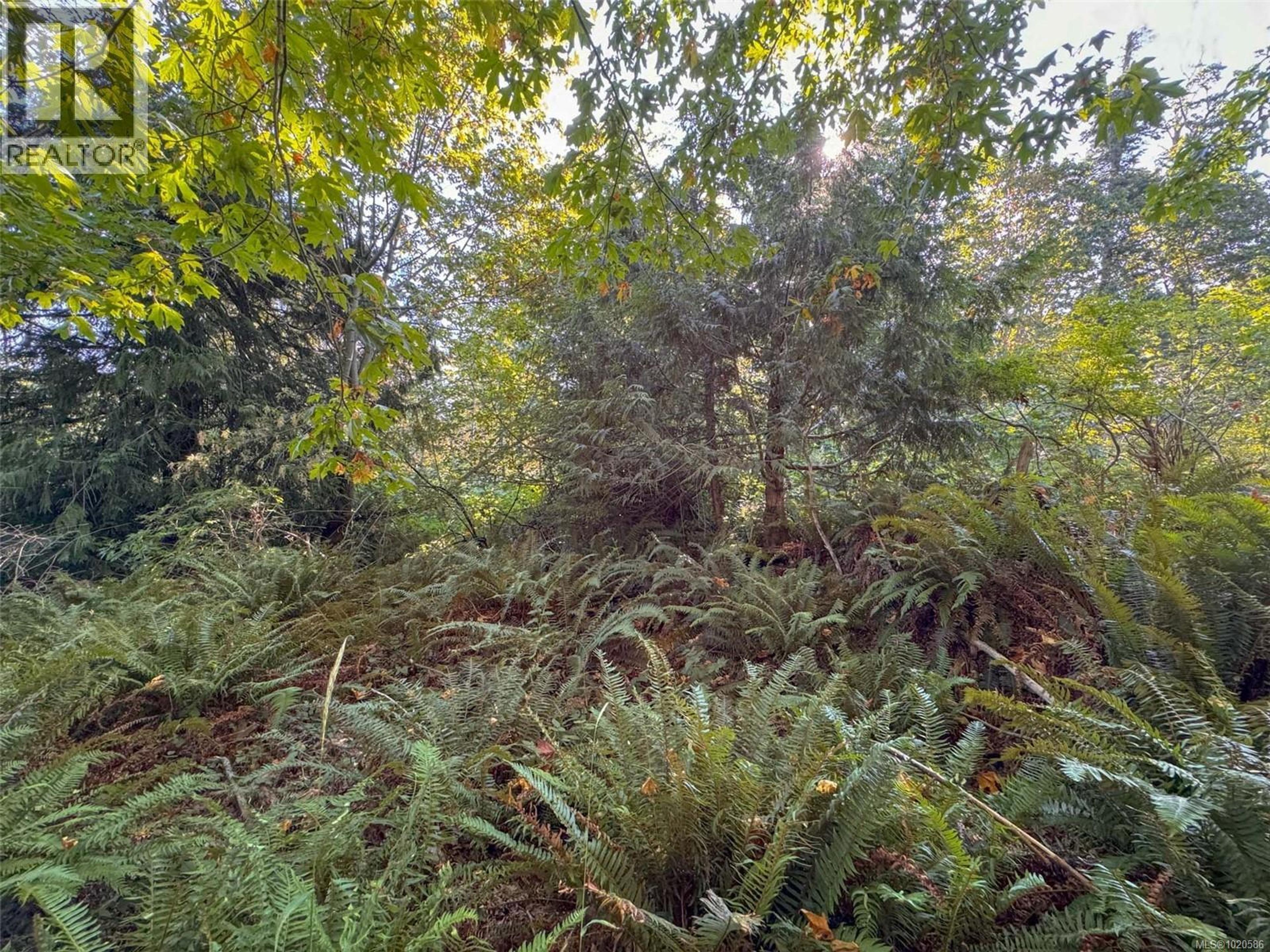 LOT 7 THE STRAND - Image 16