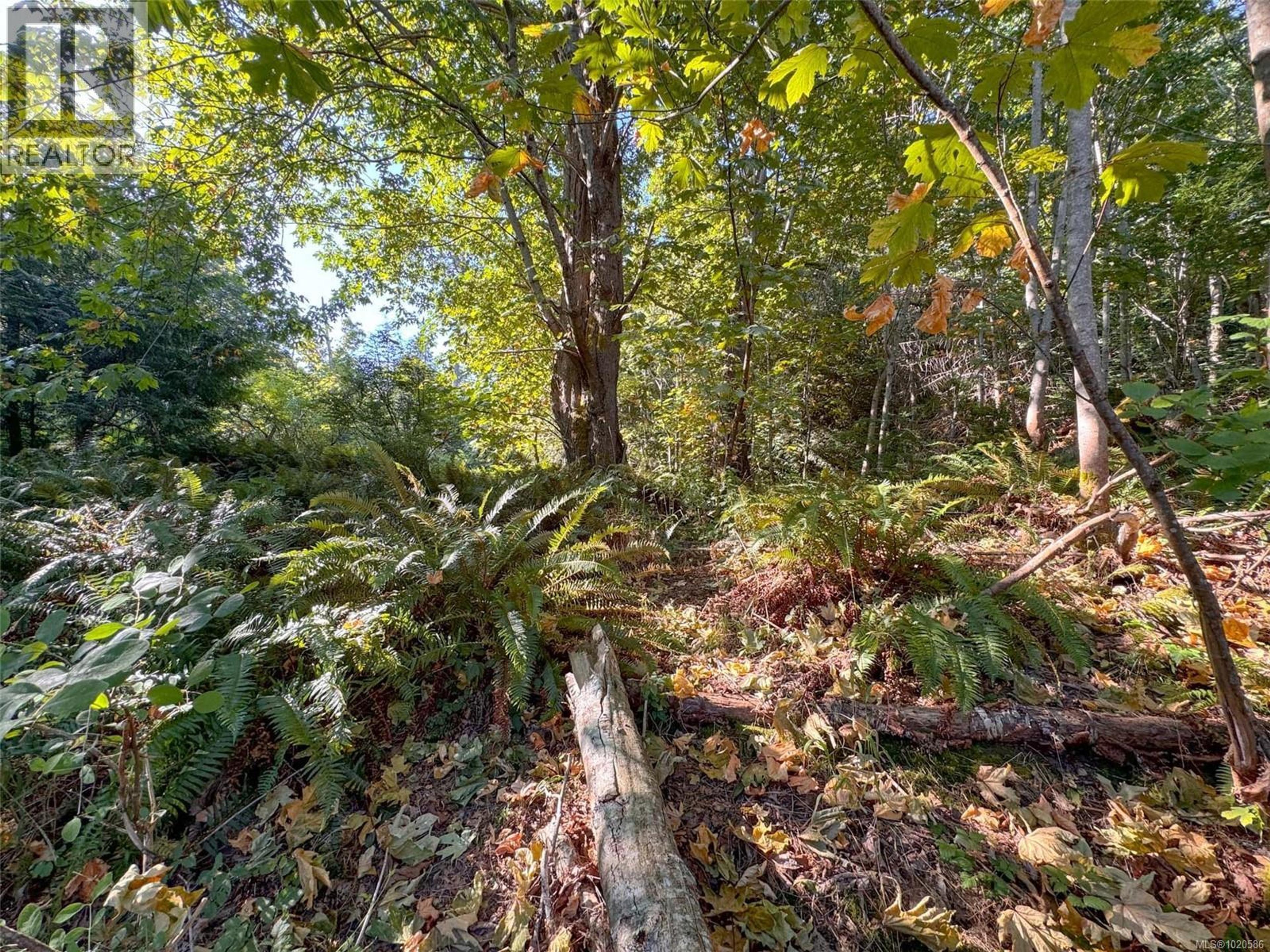 LOT 7 THE STRAND - Image 18