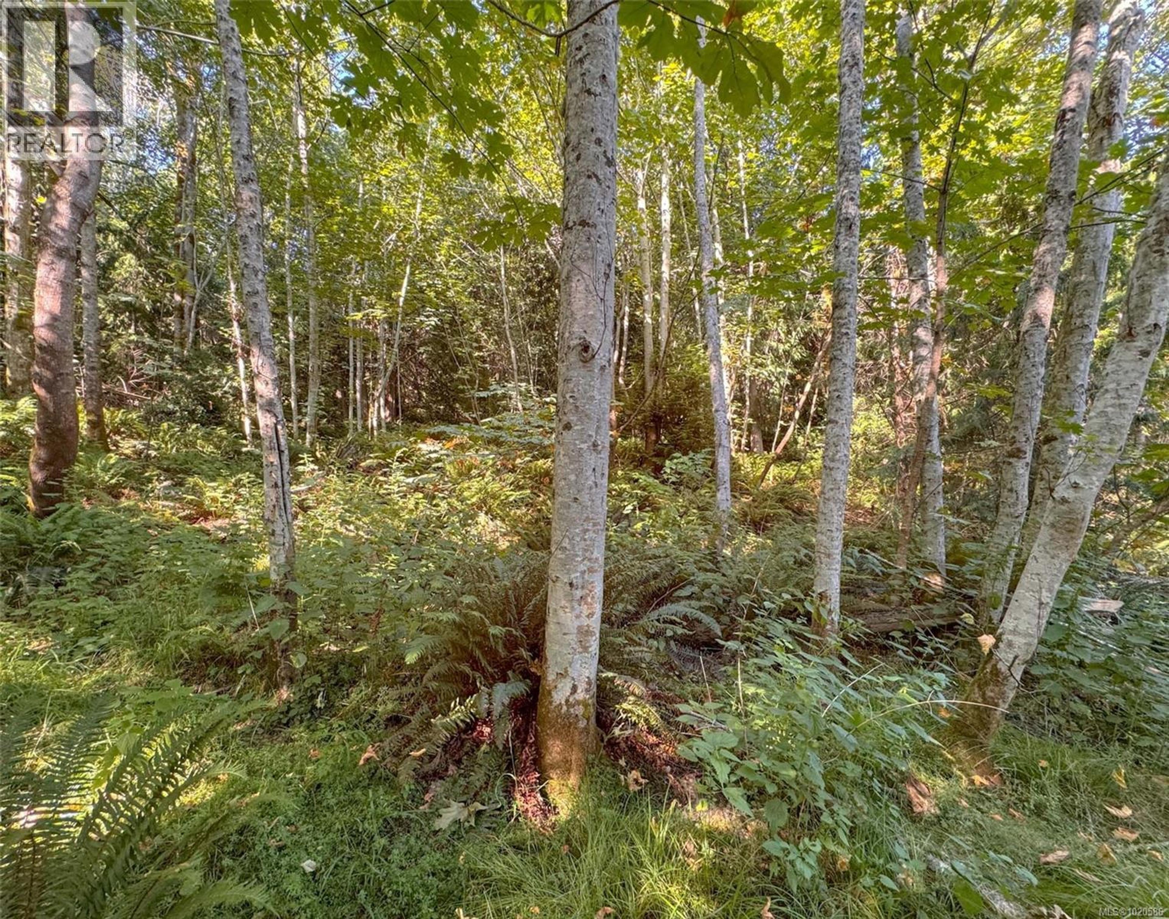 LOT 7 THE STRAND - Image 4