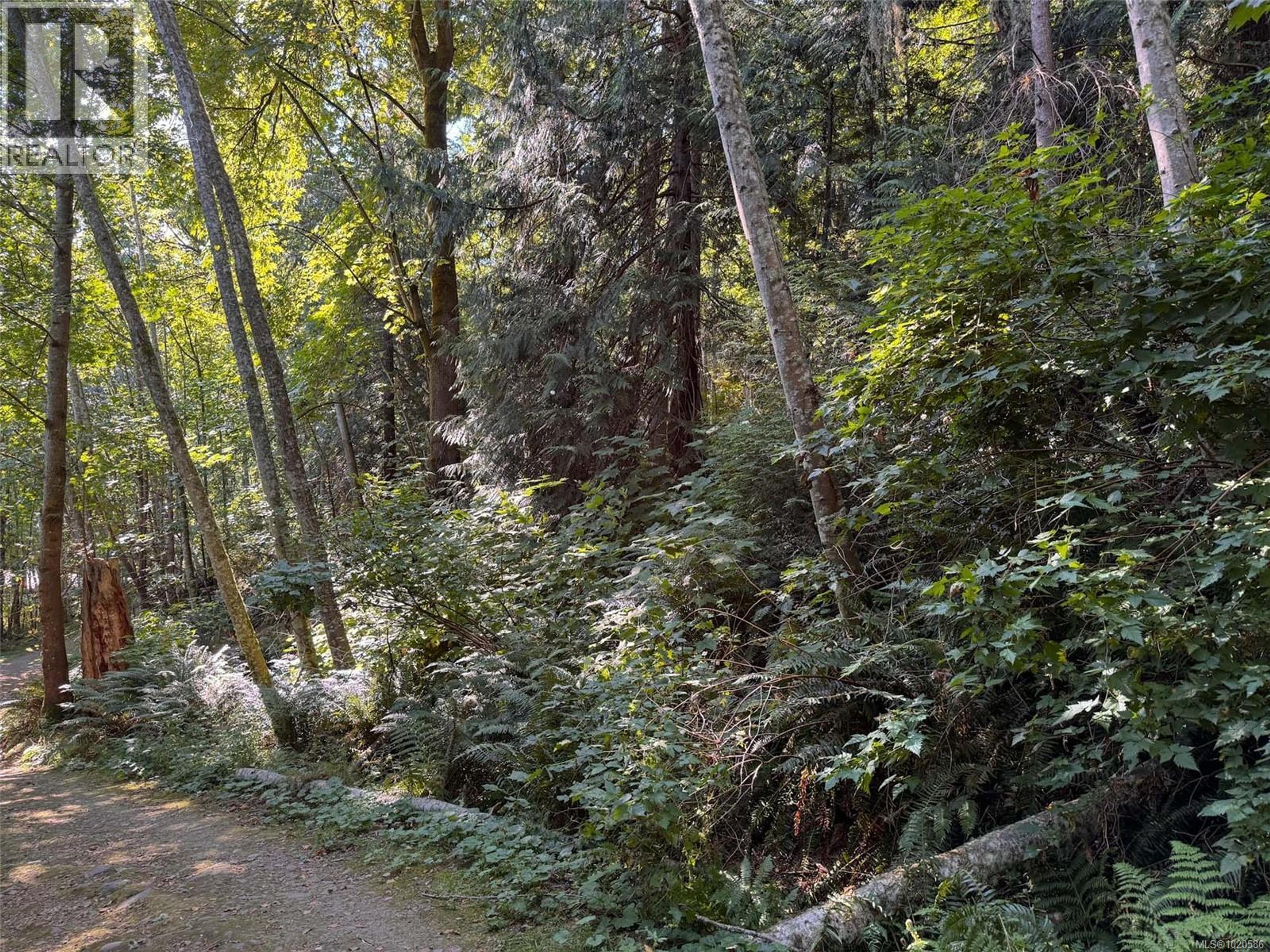 LOT 7 THE STRAND - Image 7