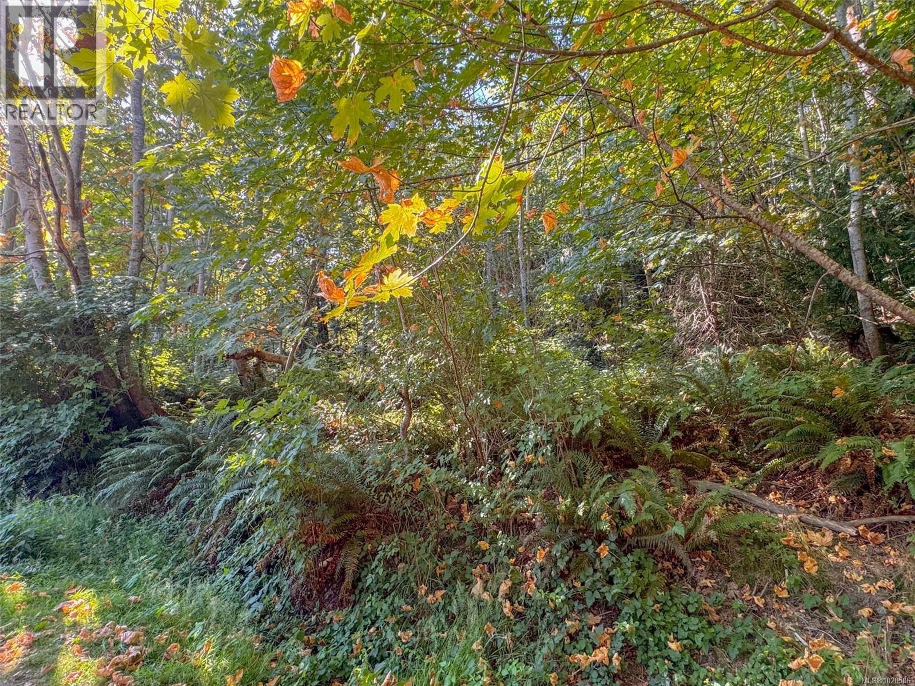 LOT 7 THE STRAND - Image 8