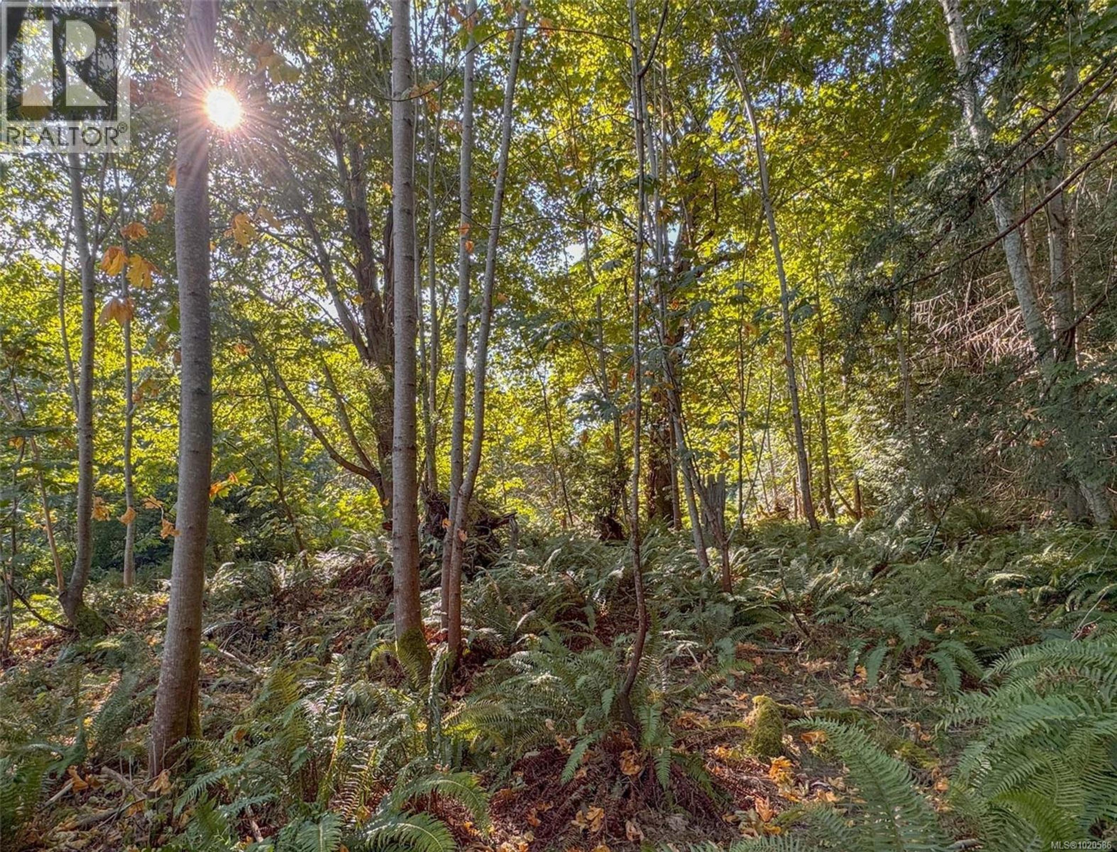 LOT 7 THE STRAND - Image 9