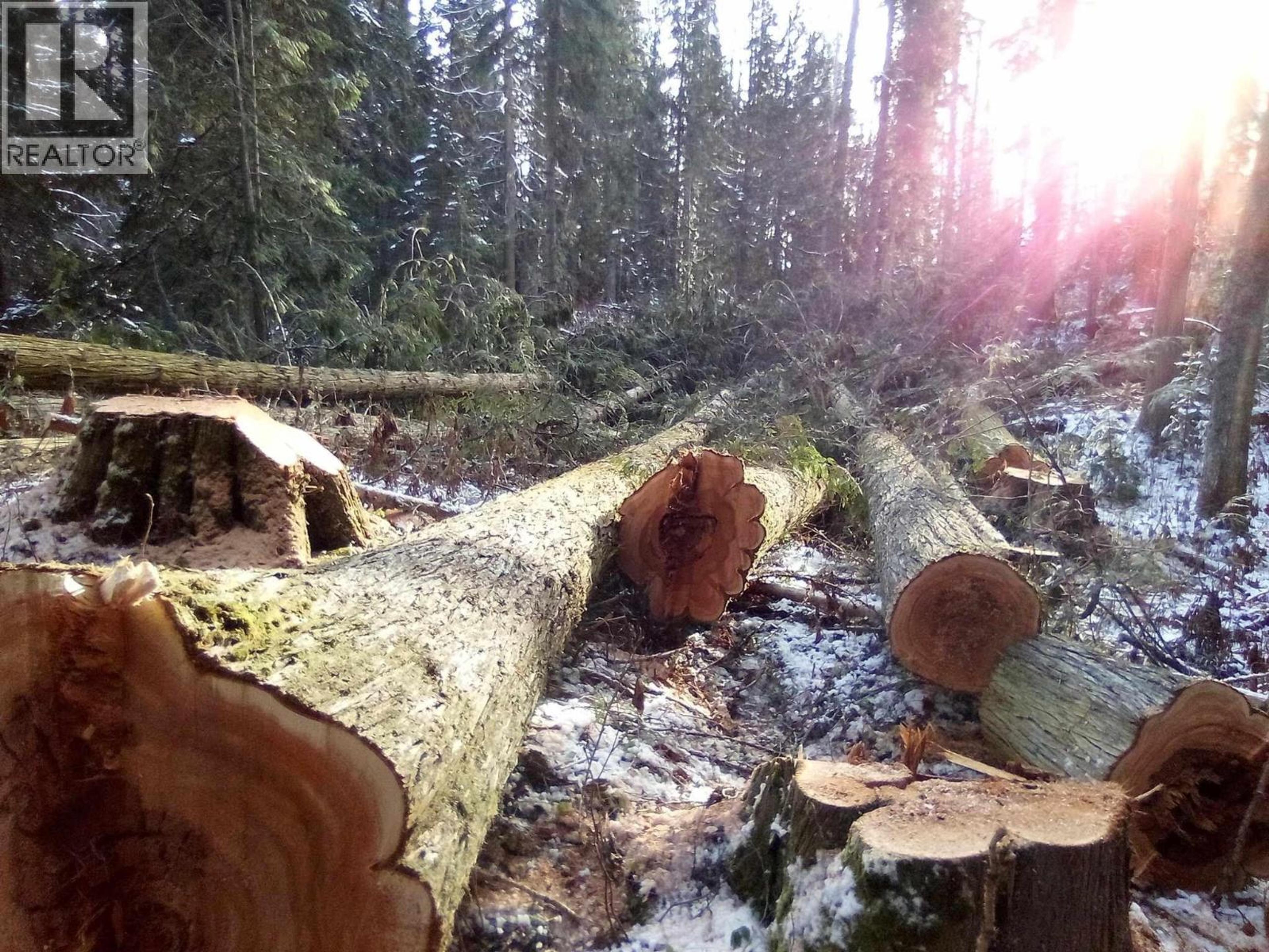 BLK D DOME CREEK - Image 6