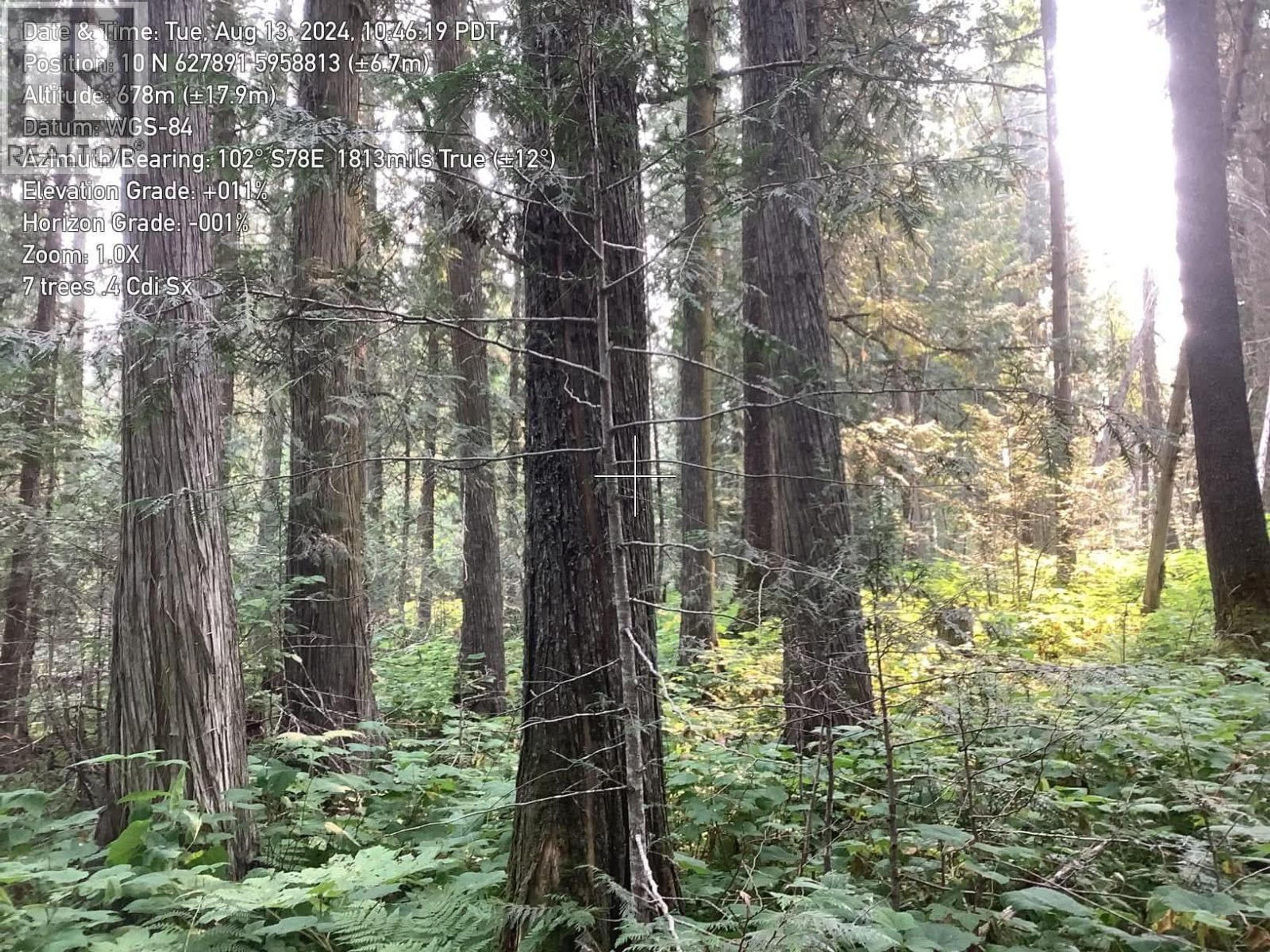 BLK D DOME CREEK - Image 15