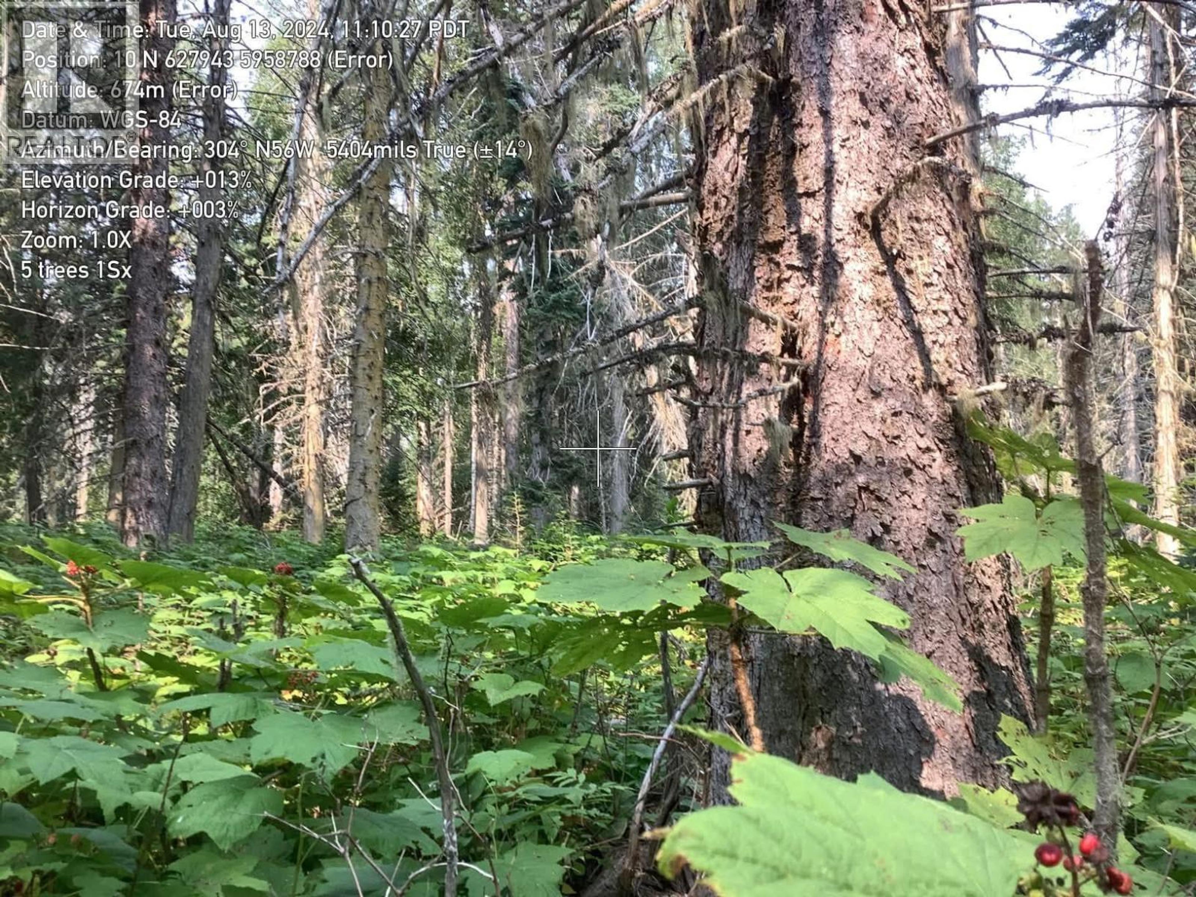 BLK D DOME CREEK - Image 16